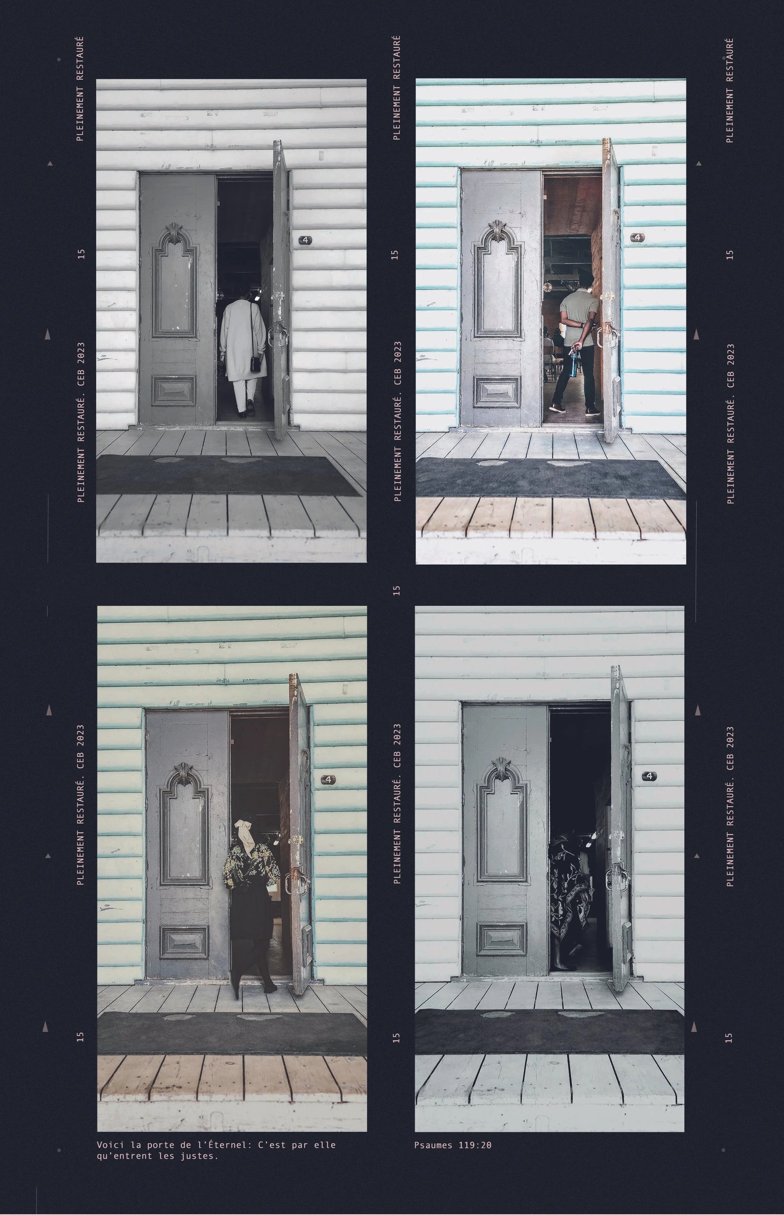La pellicule 11x17.jpg