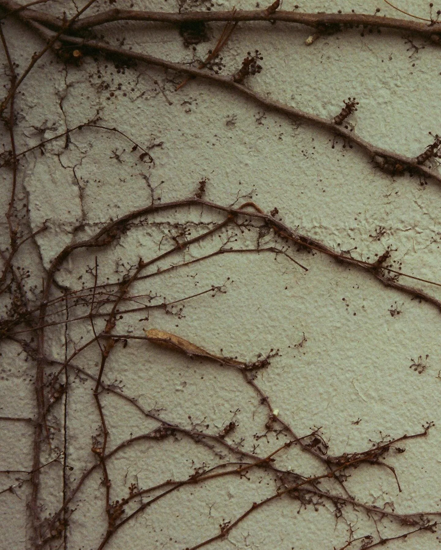 I&rsquo;ll see you, tomorrow 💙

November 28 - December 20, 2025