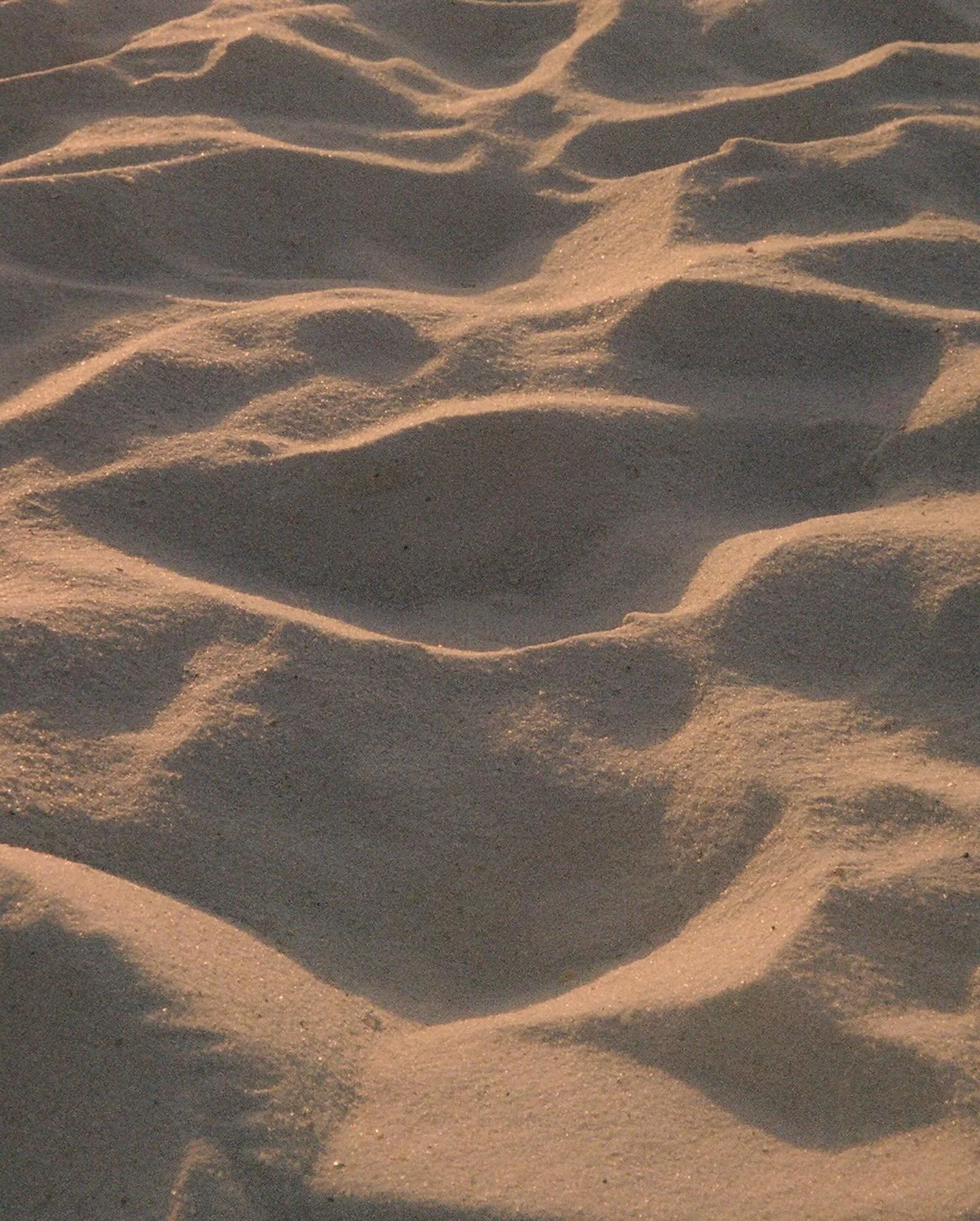 December 24, 2025 - January 16, 2026 🫂