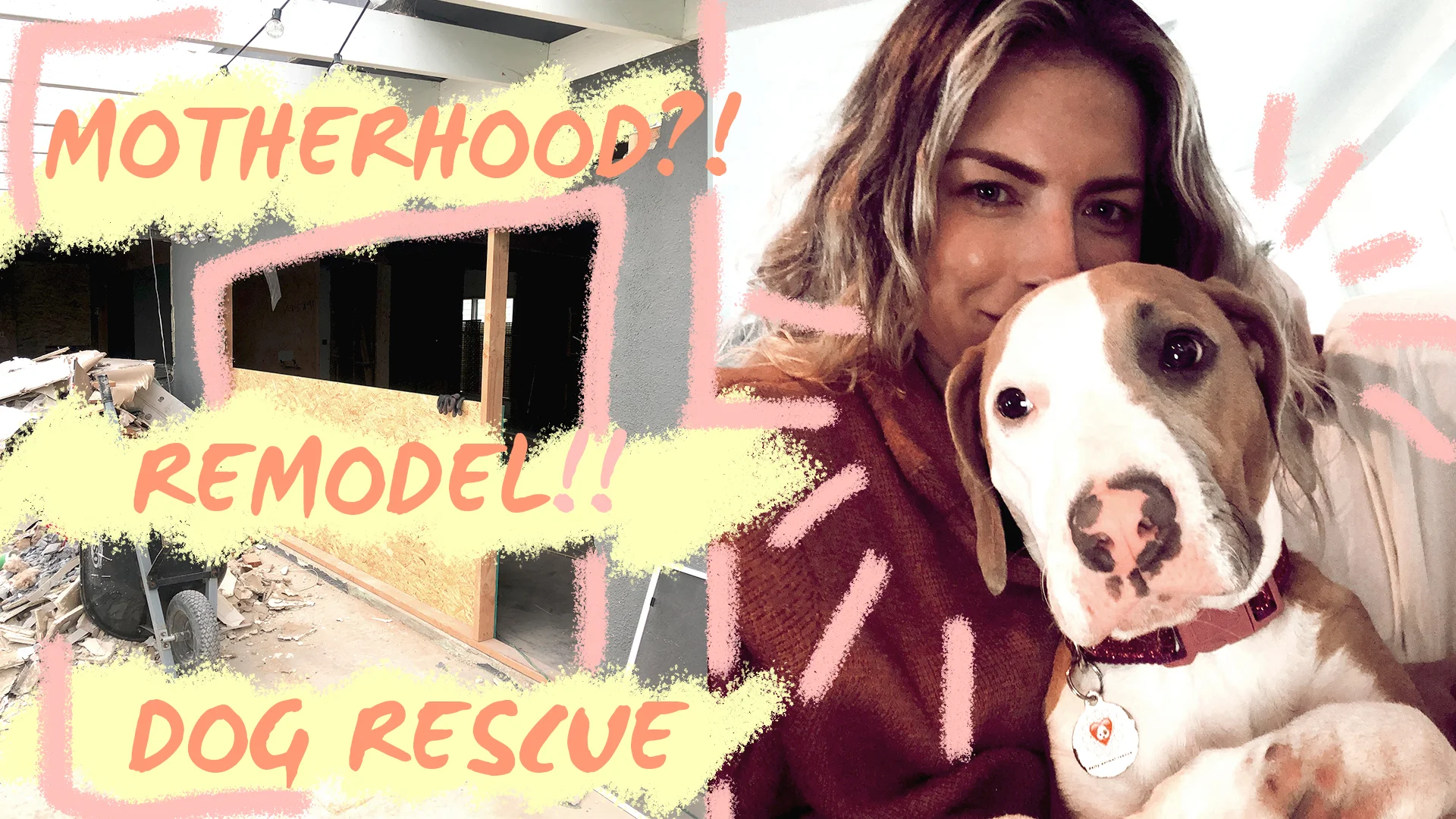 LIFE UPDATE- Redondo Beach Remodel Tips, Being Scared of Motherhood, and Adopting A Rescue?