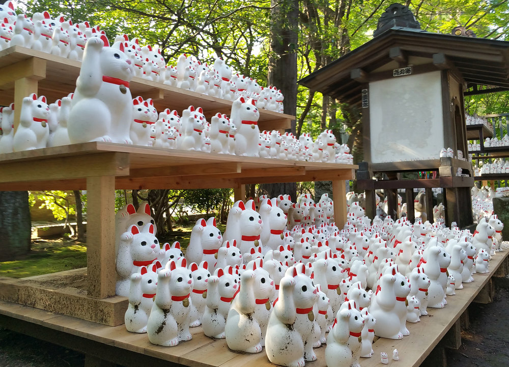 Gotokuji Temple Neko Army.jpg