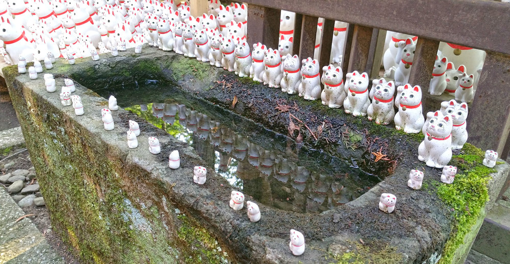 Gotokuji Temple Neko Reflections.jpg