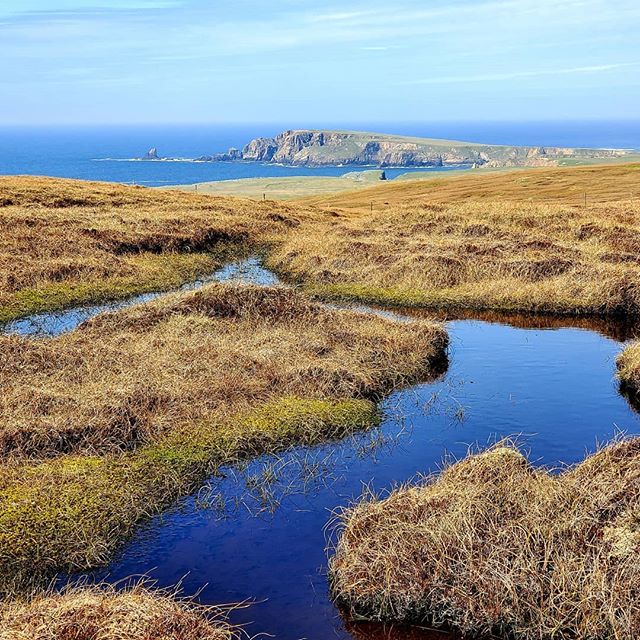 #lochan on the edge, in #northroe , on the northern end of the #shetland mainland. Spotted this bit on a six-mile walk in search of a neolithic axe factory a few weeks ago.