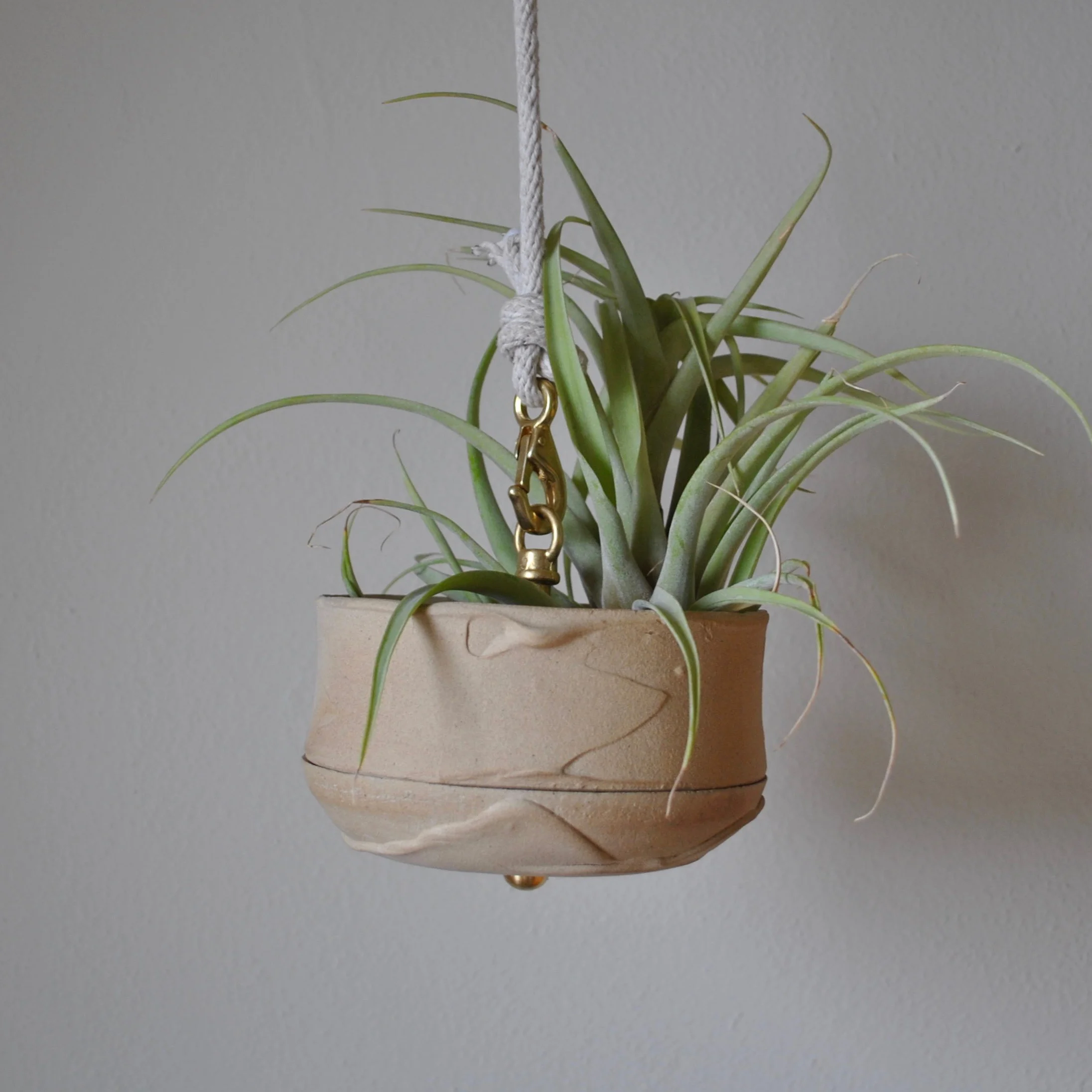 smallbouy.planted.jpg