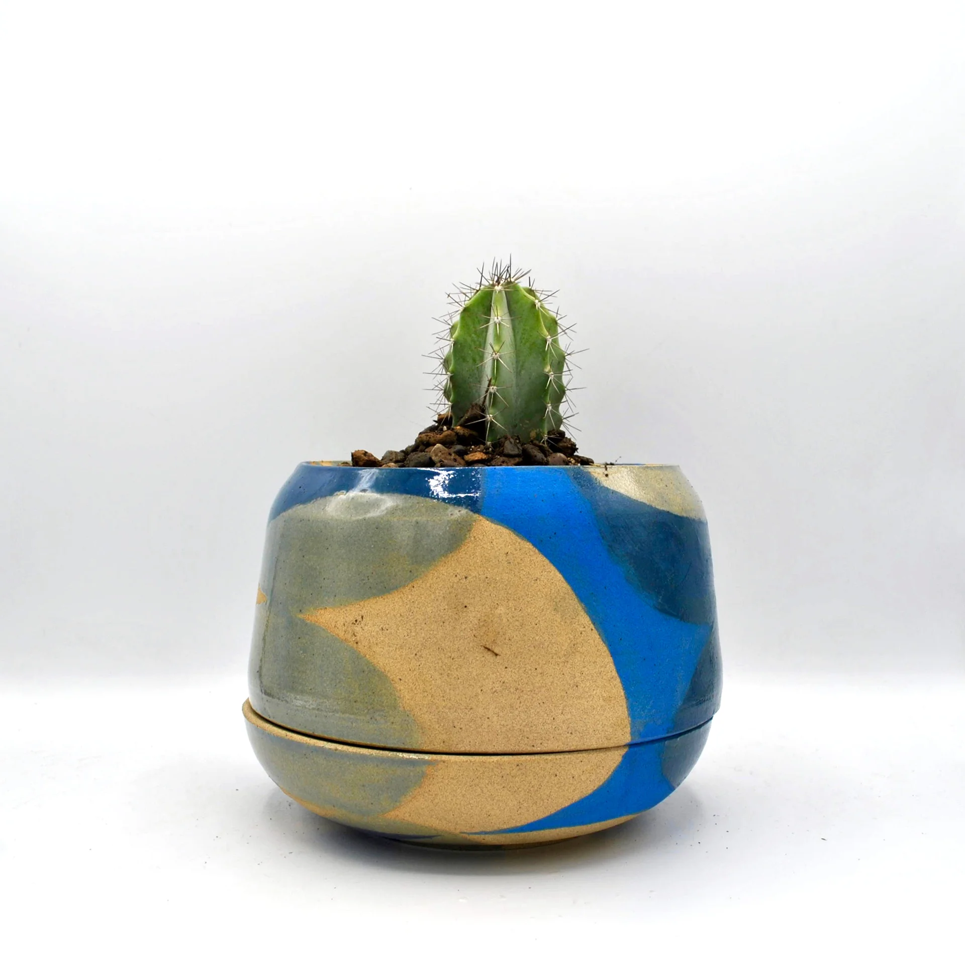 FunkPlanter.Blue.M4.jpg