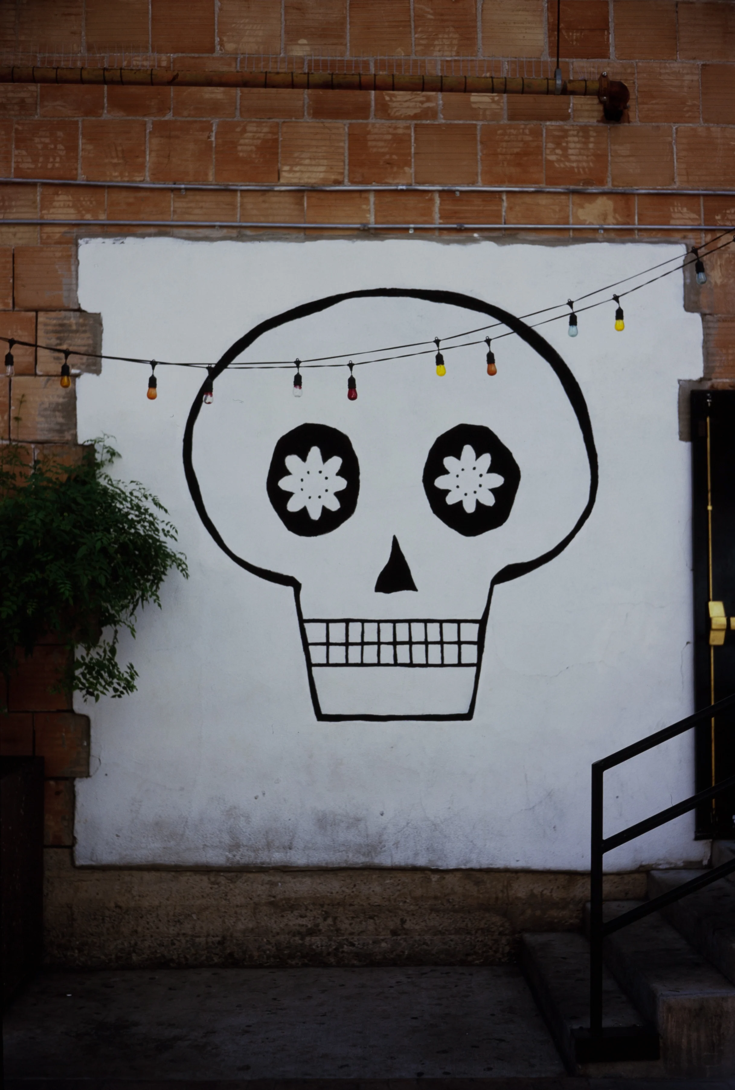 Skullfully Yours (Fuji Velvia 100)