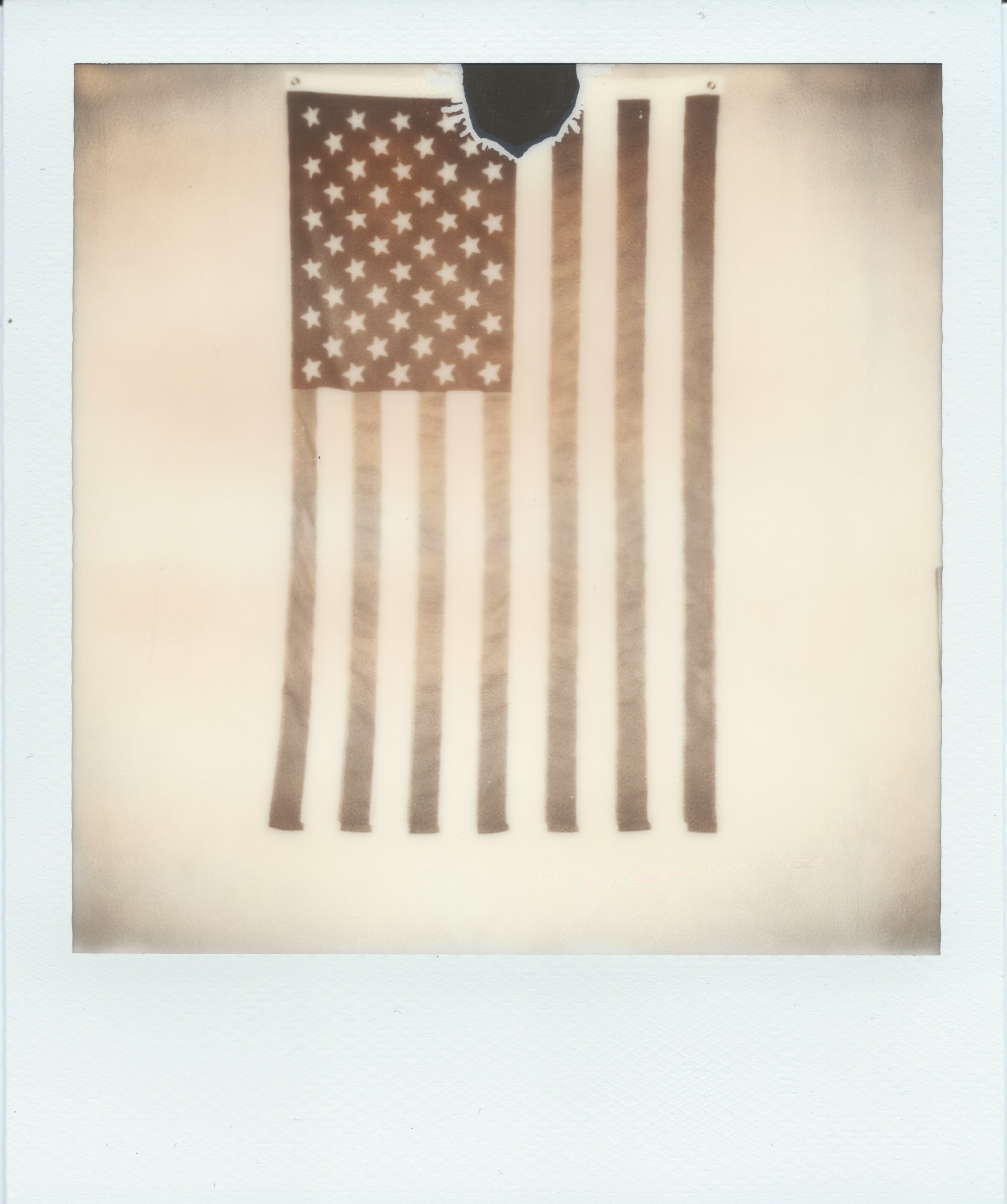 Faded Glory (Impossible Project SX-70 BW)