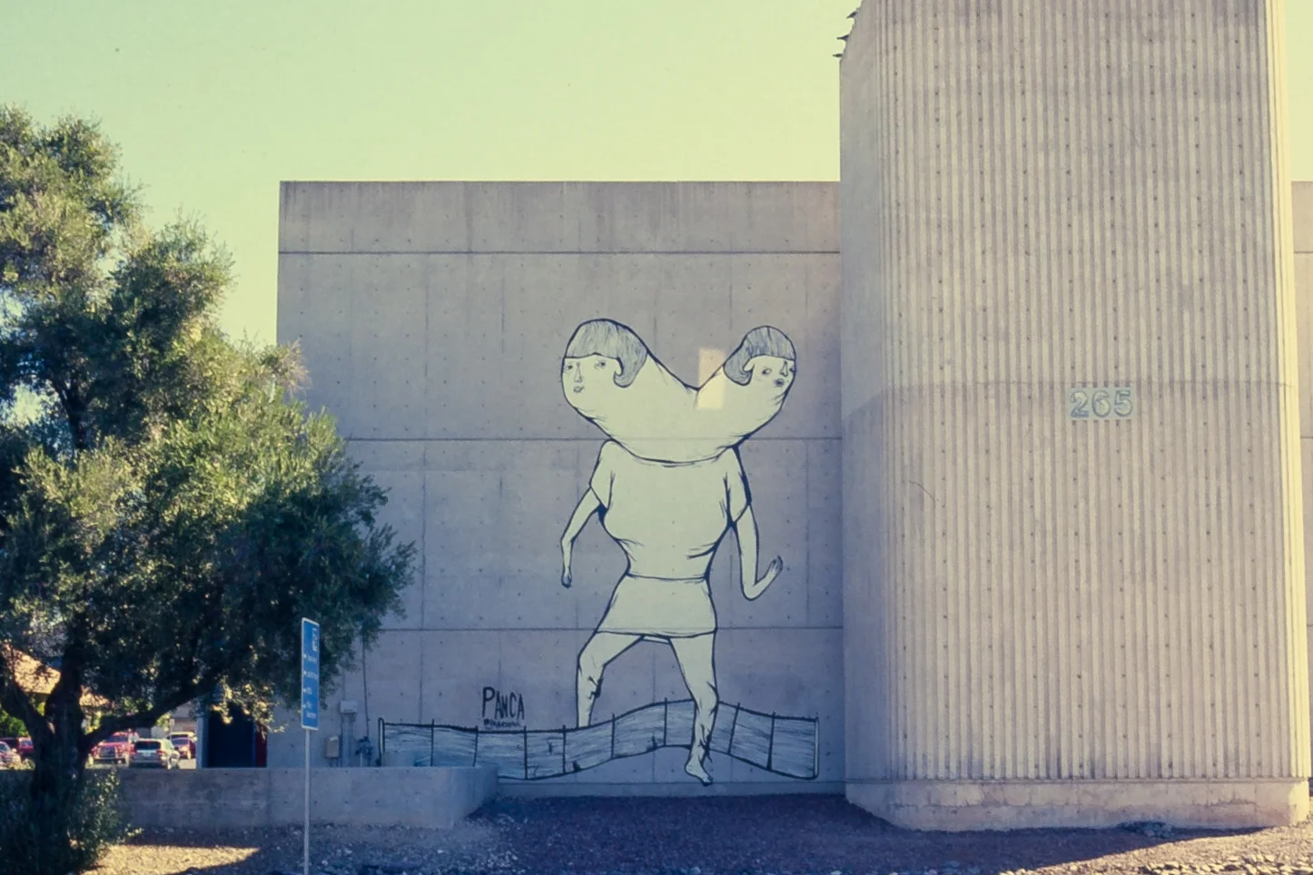 "Binational" by PANCA. (Kodak Ektachrome 64 EPR220, expired 4/1983)