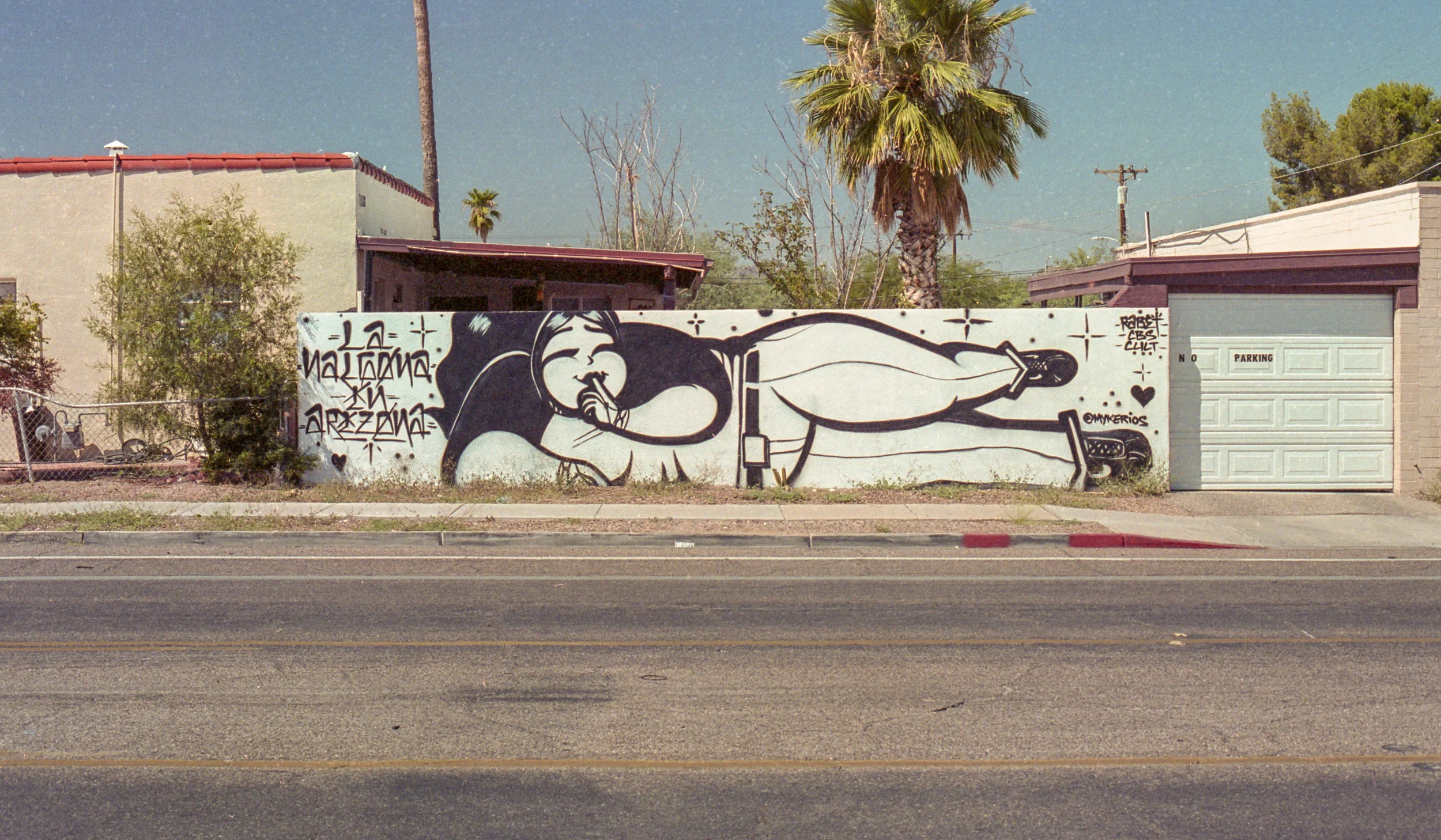 "La Nalgona in Arizona" by Mykerios (Kodak Hawkeye Traffic Surveillance Film 2486)
