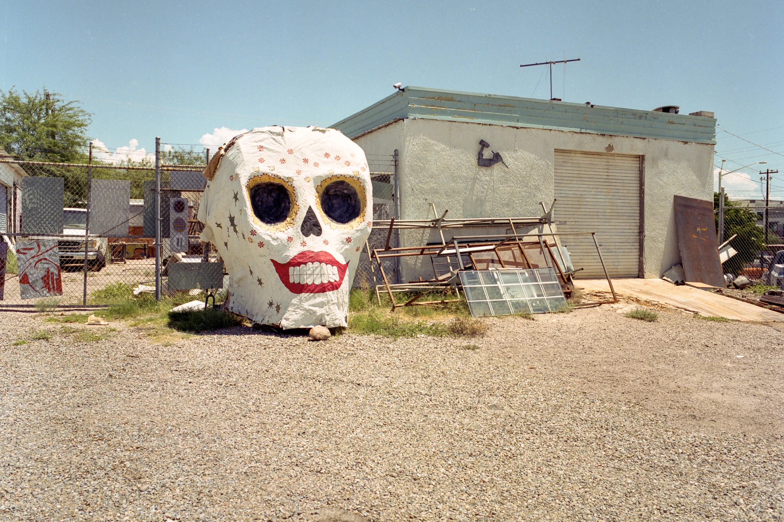 A fancy skull, Tucson, AZ (Kodak Portra 400, EI 200)
