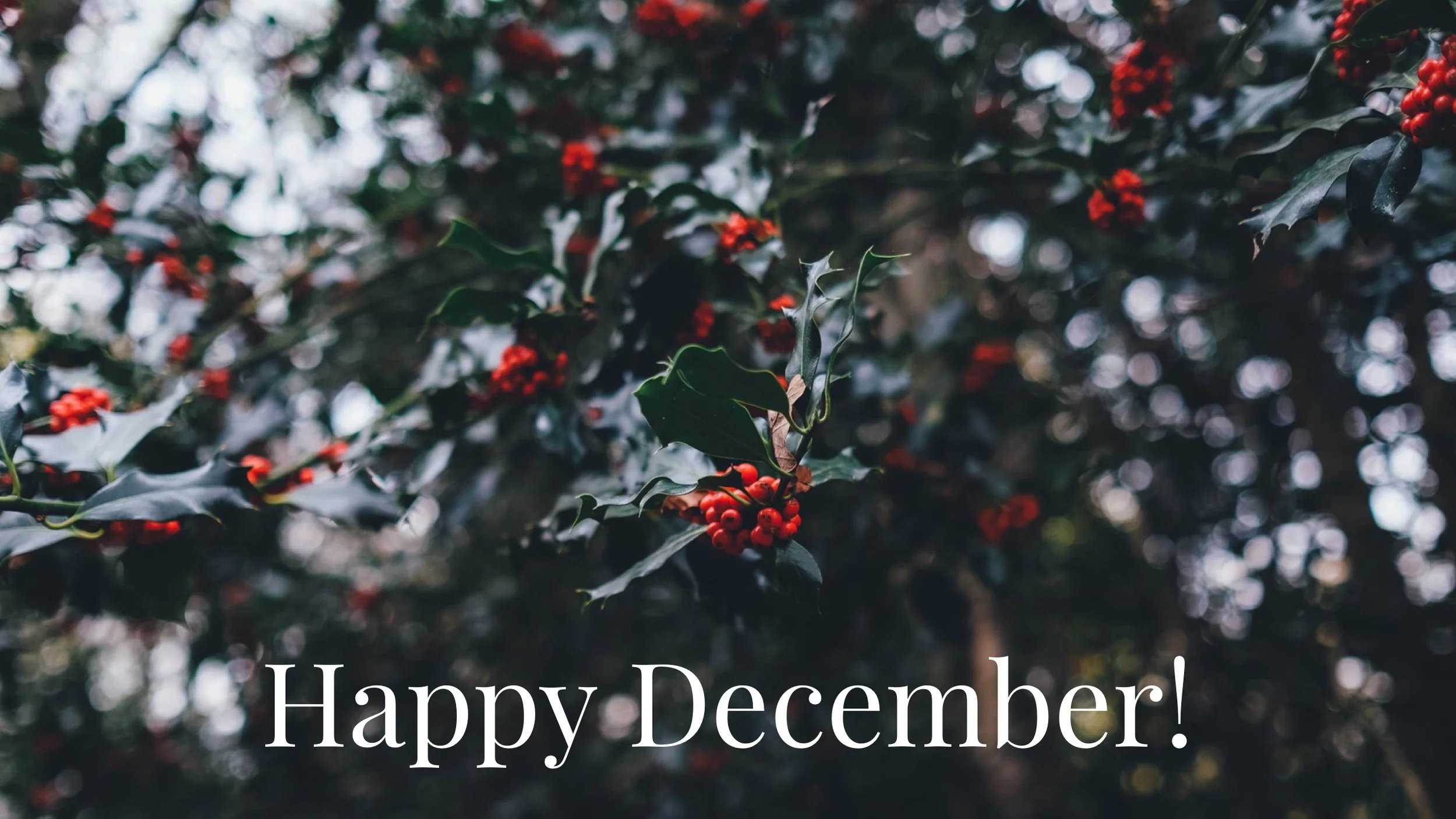 Happy December!
