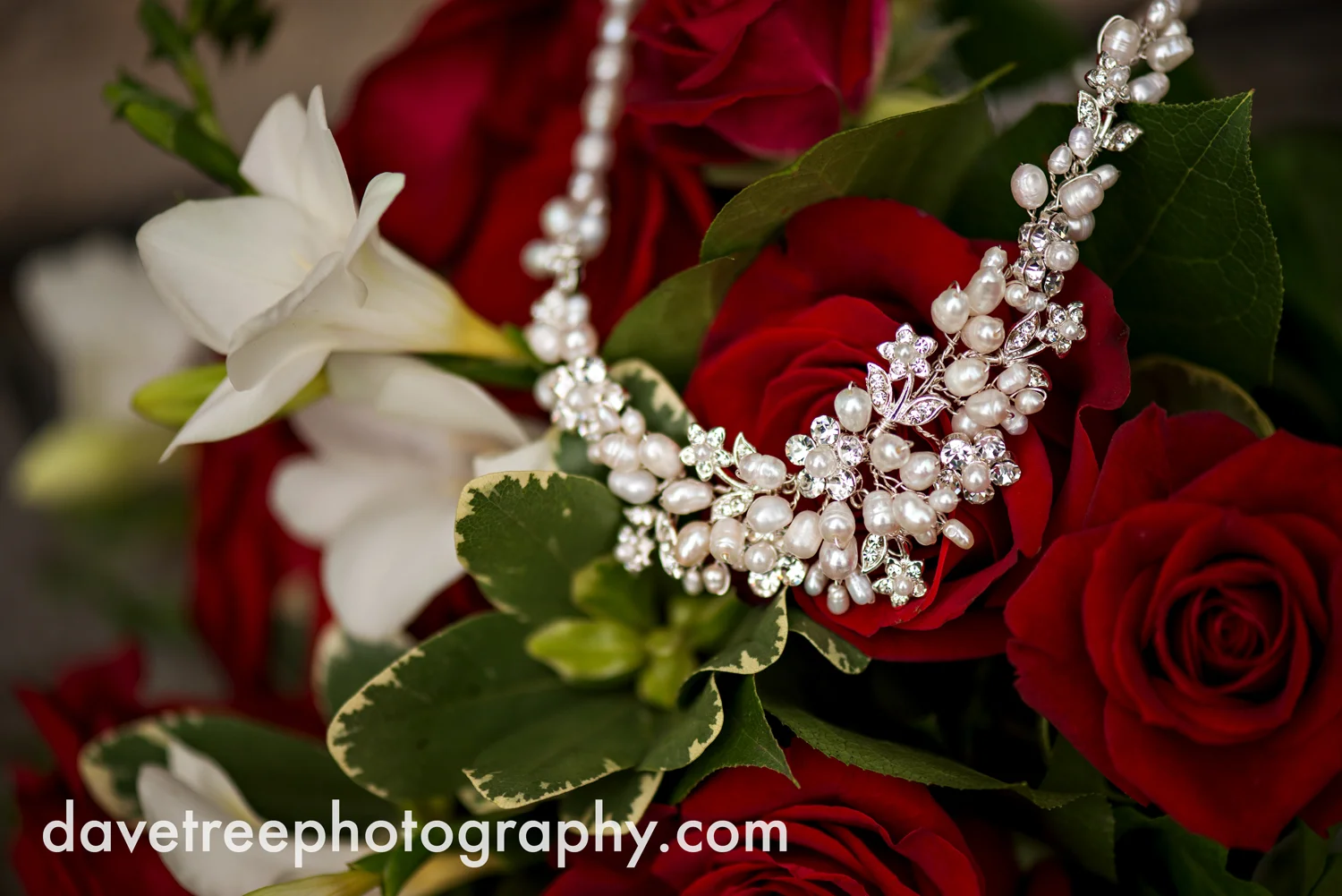 holland_wedding_photographer_45.jpg