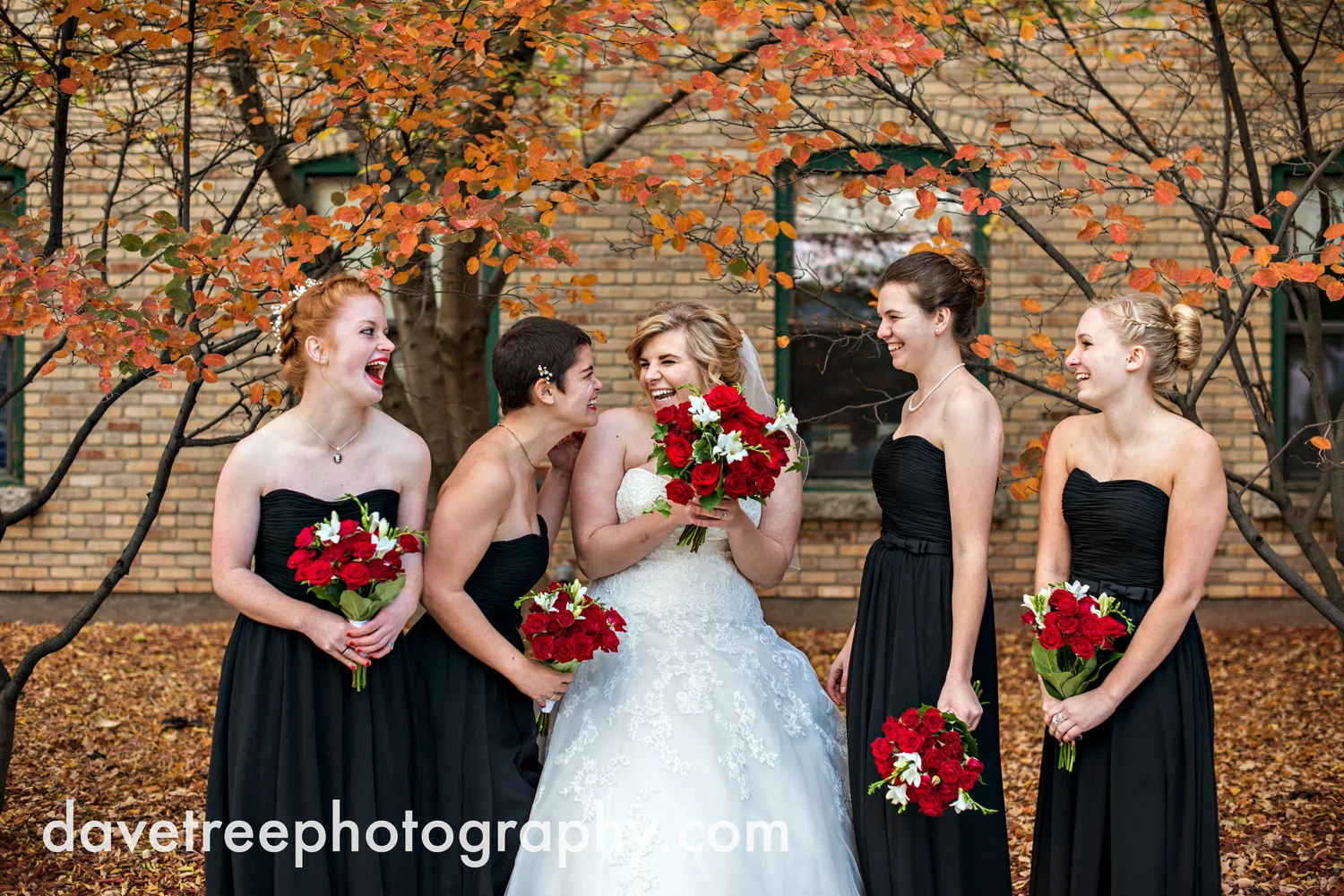 holland_wedding_photographer_56.jpg