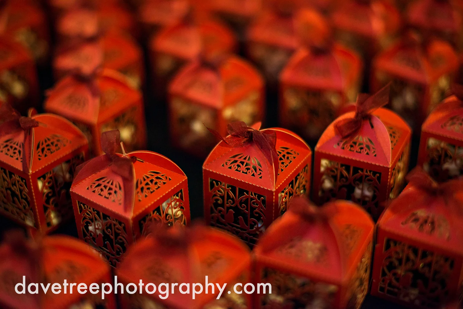 holland_wedding_photographer_49.jpg