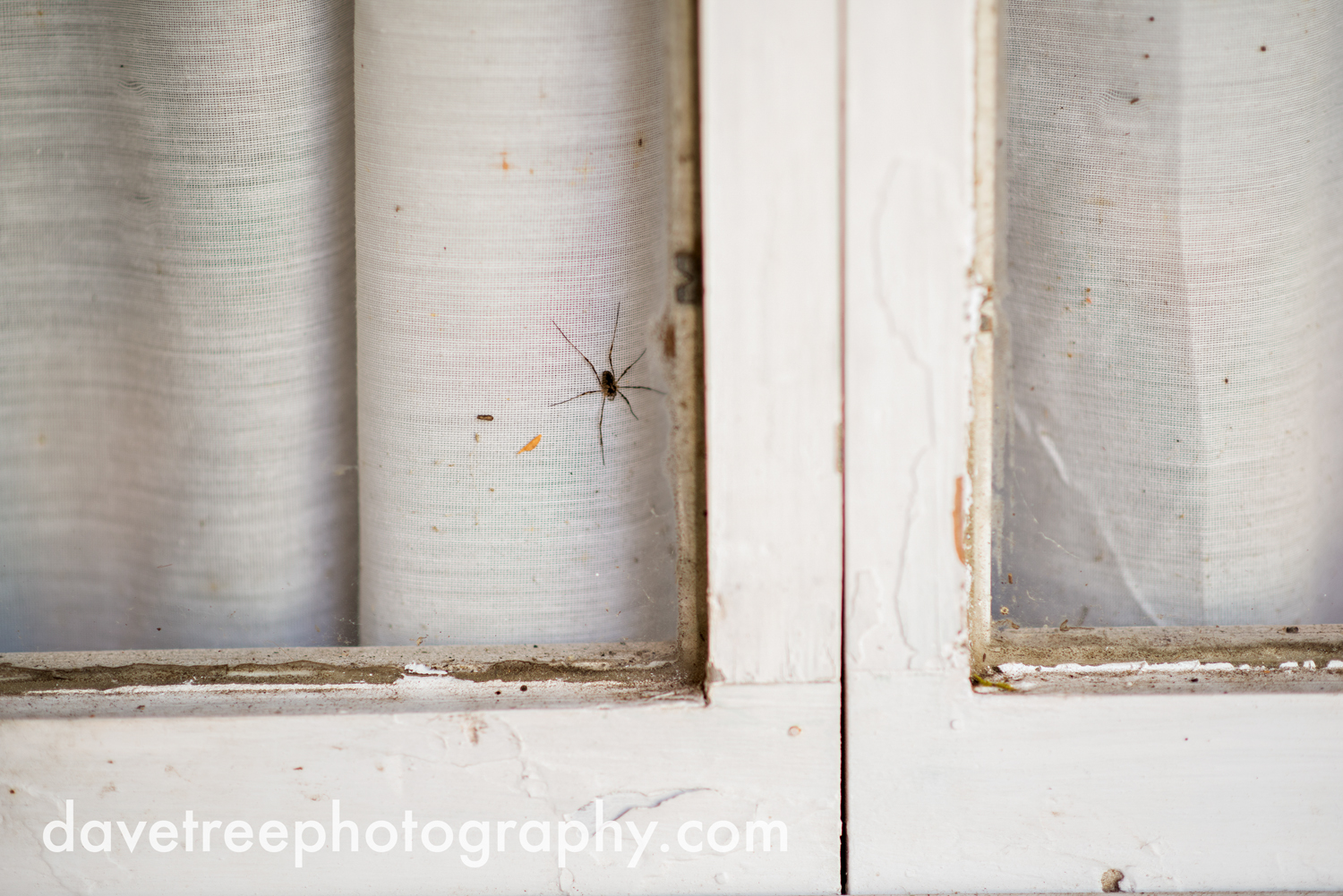 benton_harbor_wedding_photographer_blue_dress_barn_67.jpg