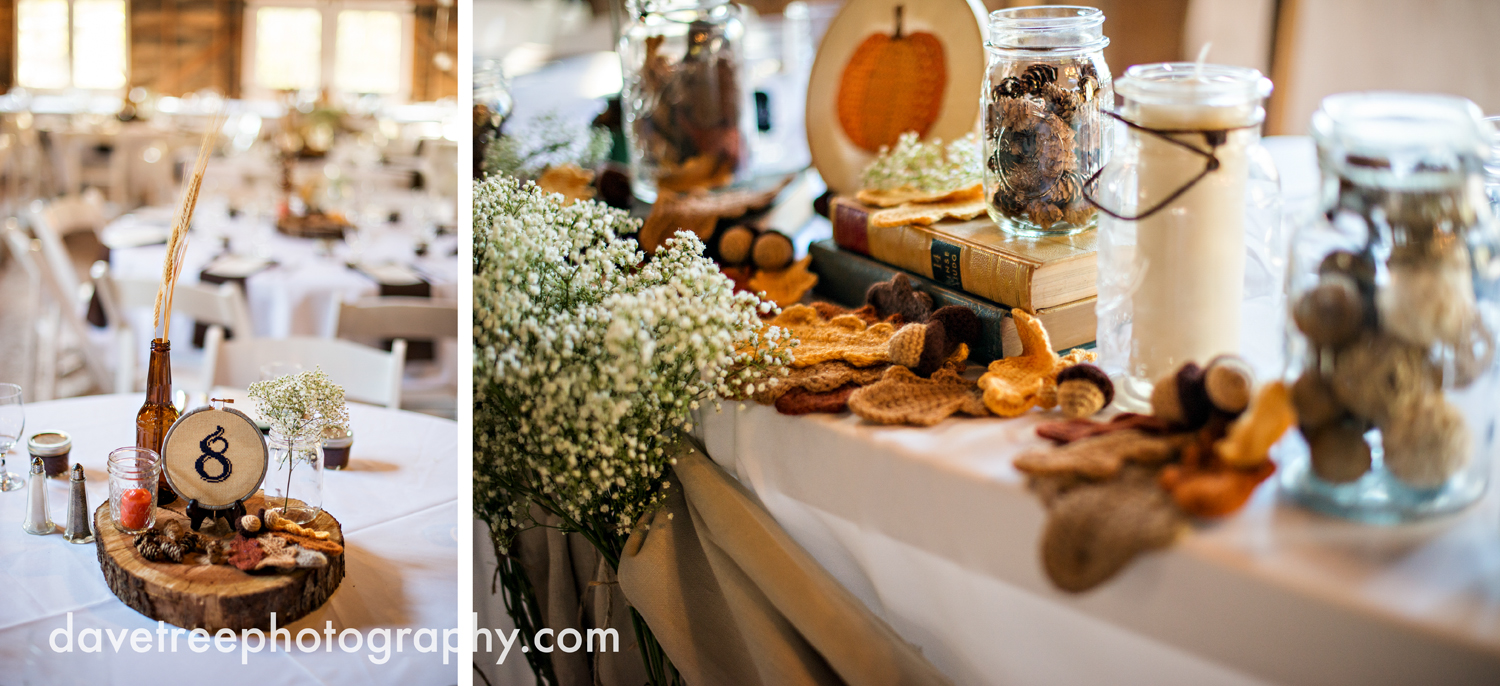 benton_harbor_wedding_photographer_blue_dress_barn_62.jpg