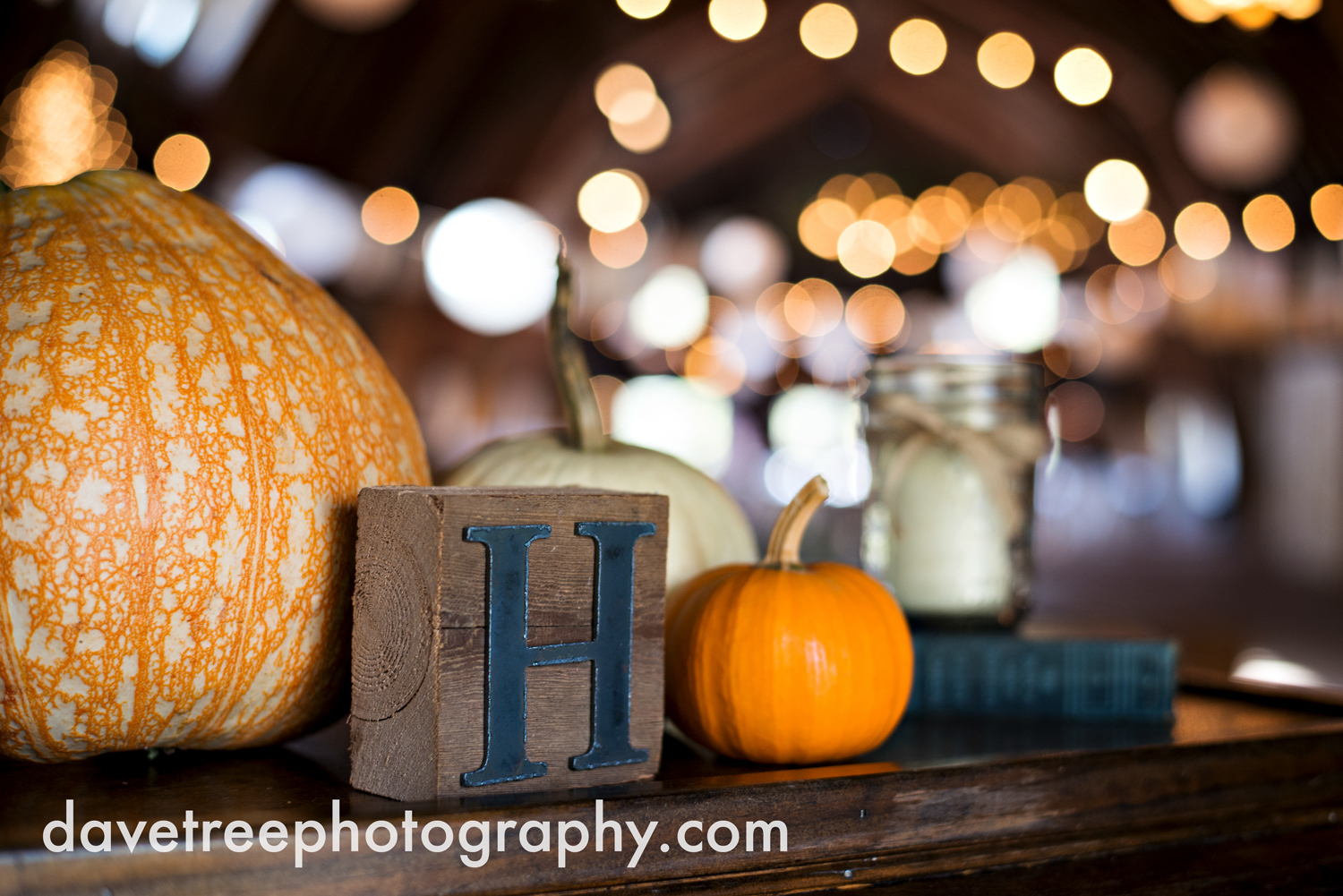 benton_harbor_wedding_photographer_blue_dress_barn_85.jpg