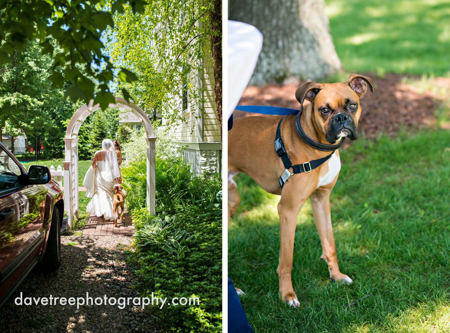 michigan_vineyard_wedding_photographer_davetree_photography_414.jpg