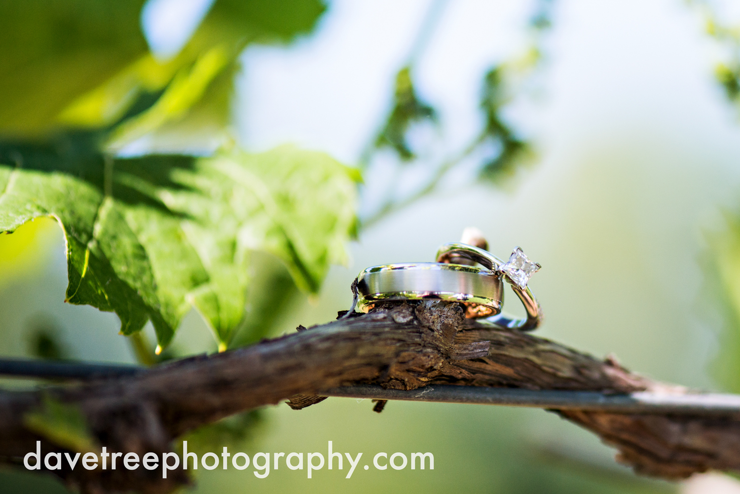 michigan_vineyard_wedding_photographer_davetree_photography_388.jpg