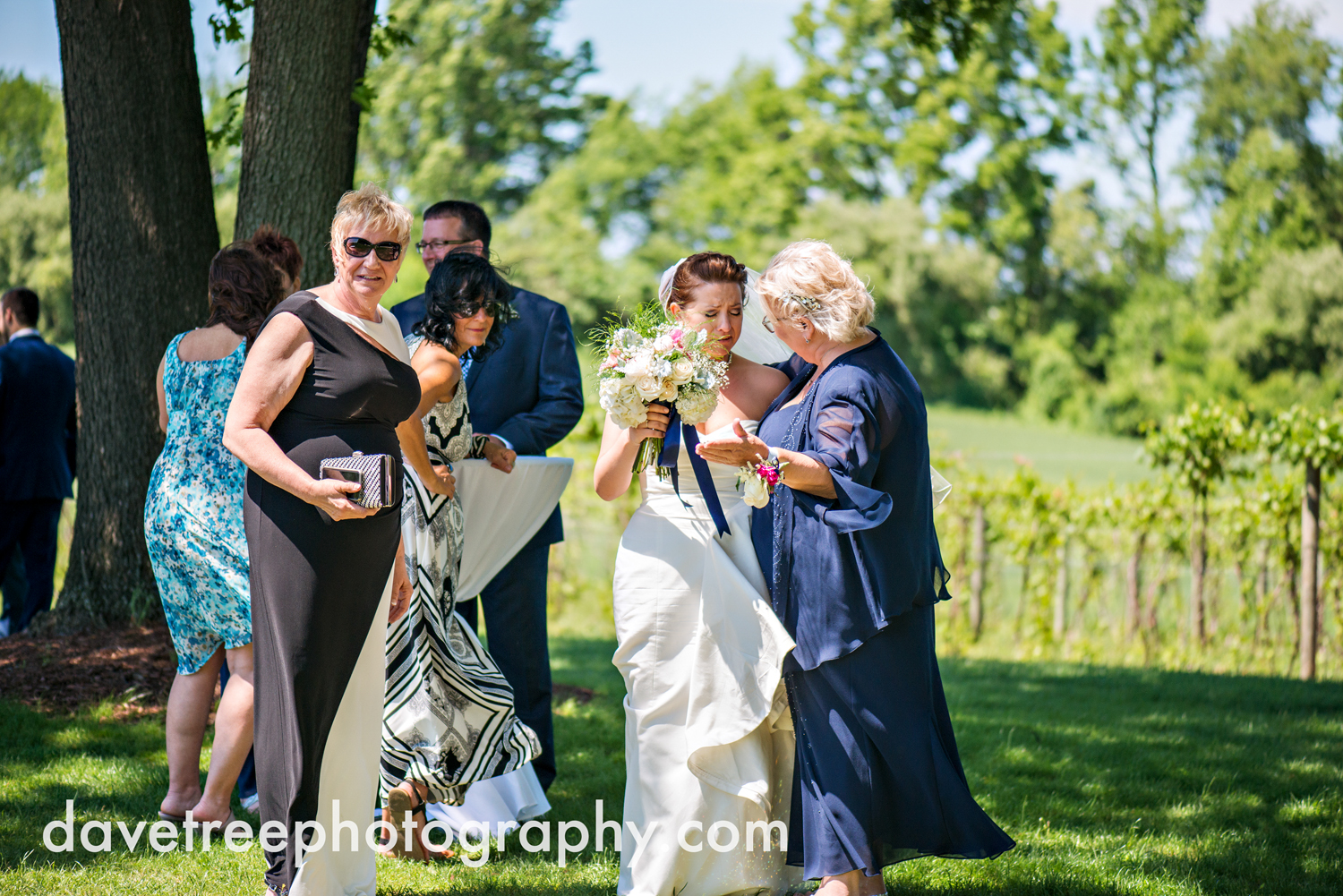 michigan_vineyard_wedding_photographer_davetree_photography_474.jpg