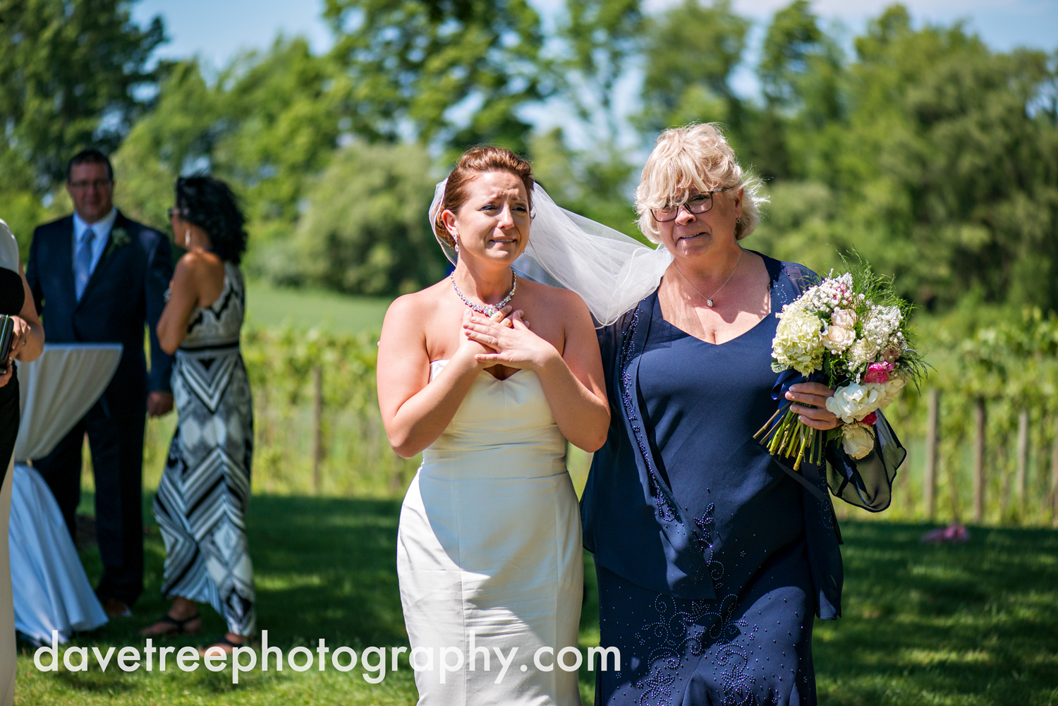 michigan_vineyard_wedding_photographer_davetree_photography_477.jpg