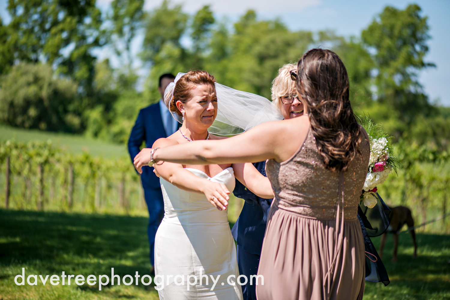 michigan_vineyard_wedding_photographer_davetree_photography_478.jpg