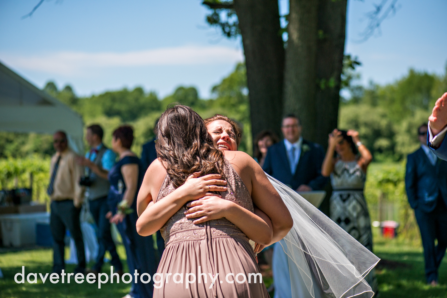 michigan_vineyard_wedding_photographer_davetree_photography_480.jpg