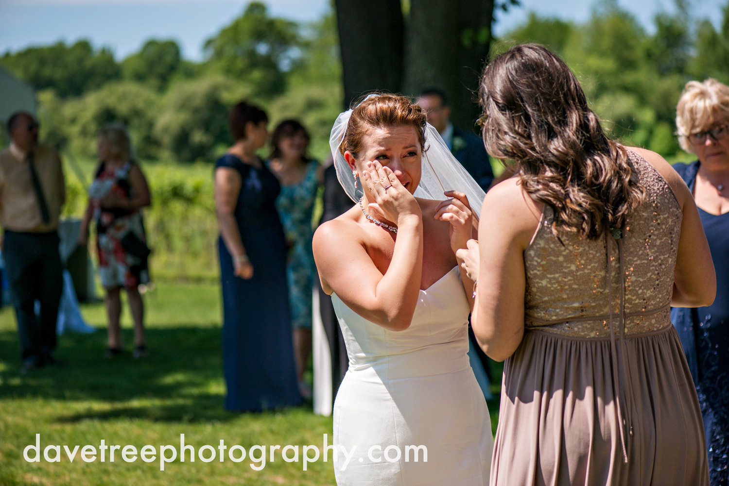 michigan_vineyard_wedding_photographer_davetree_photography_482.jpg