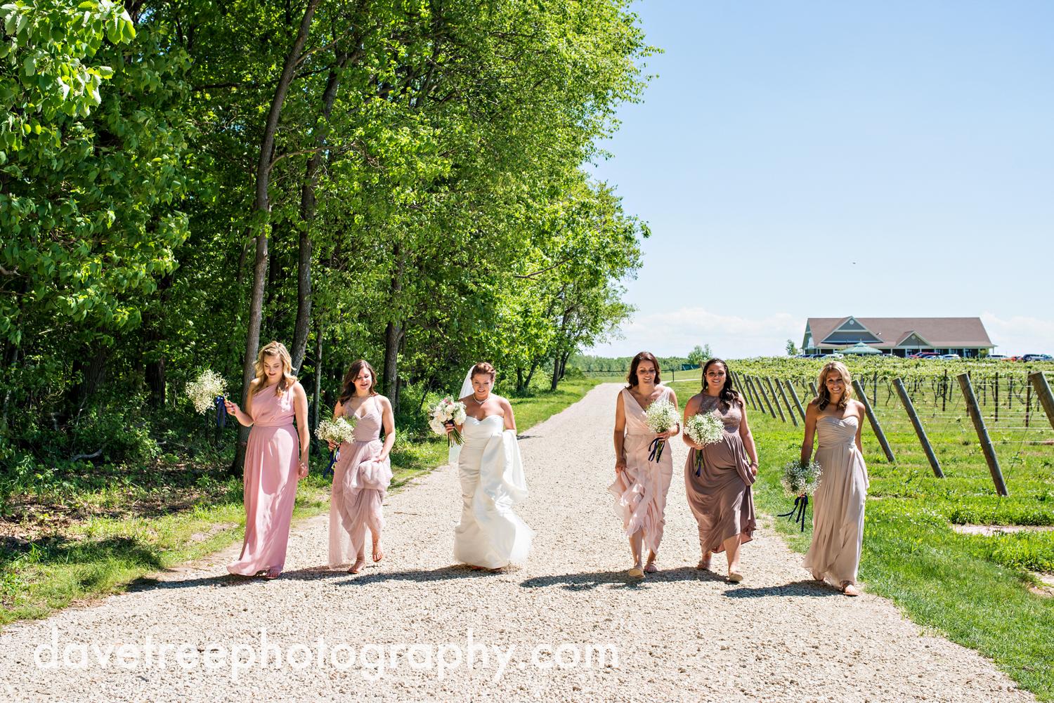 michigan_vineyard_wedding_photographer_davetree_photography_490.jpg