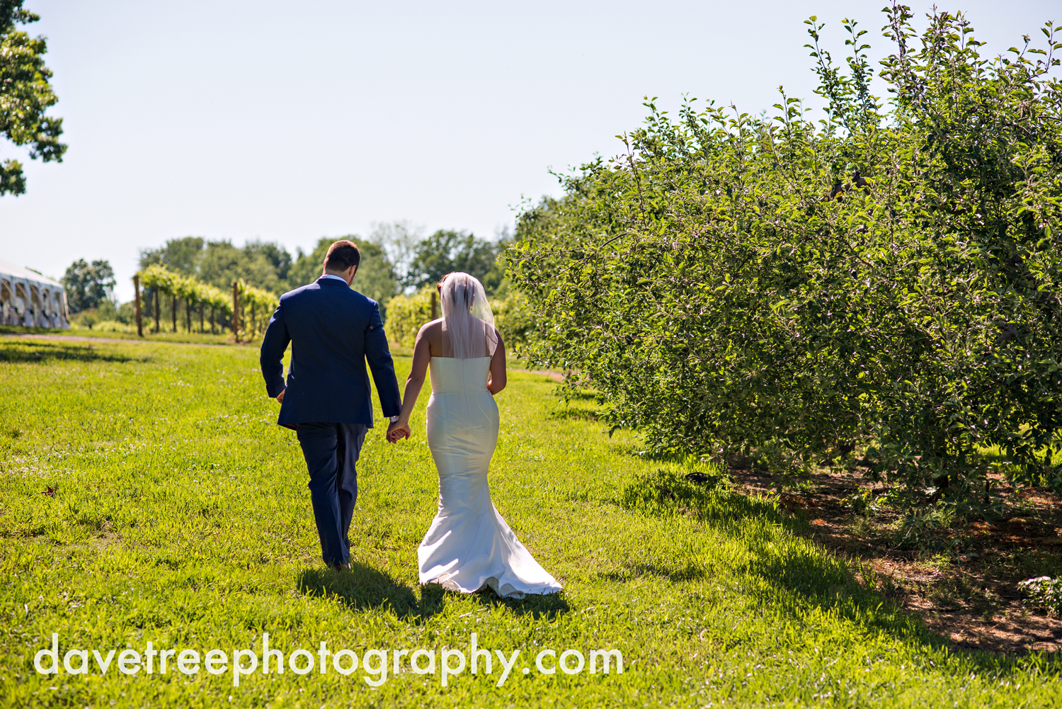 michigan_vineyard_wedding_photographer_davetree_photography_370.jpg