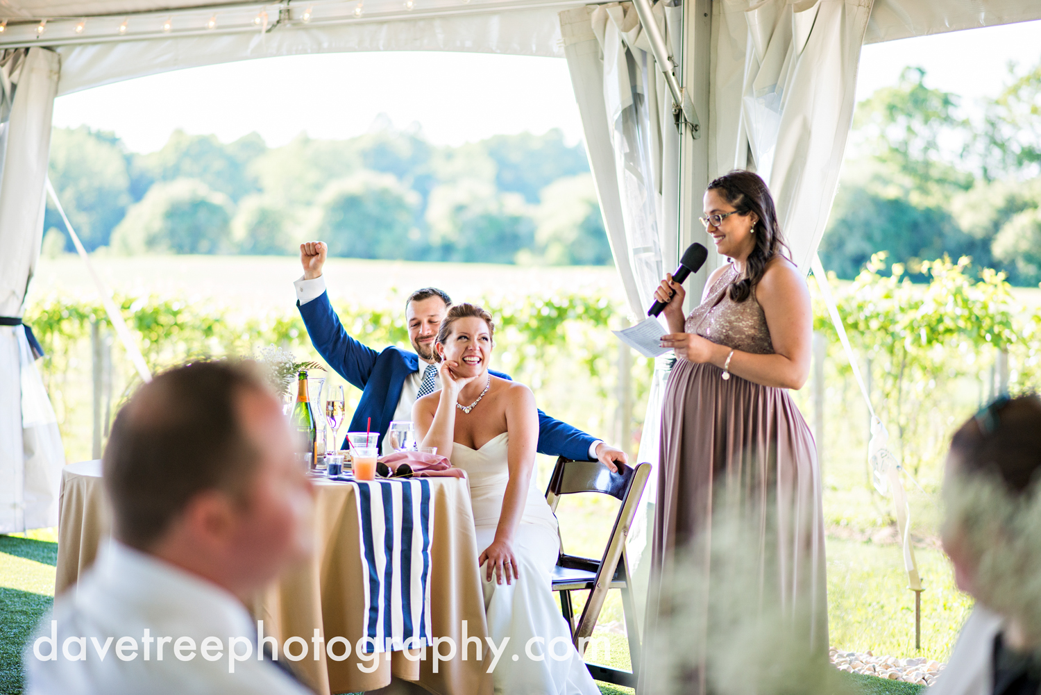 michigan_vineyard_wedding_photographer_davetree_photography_427.jpg