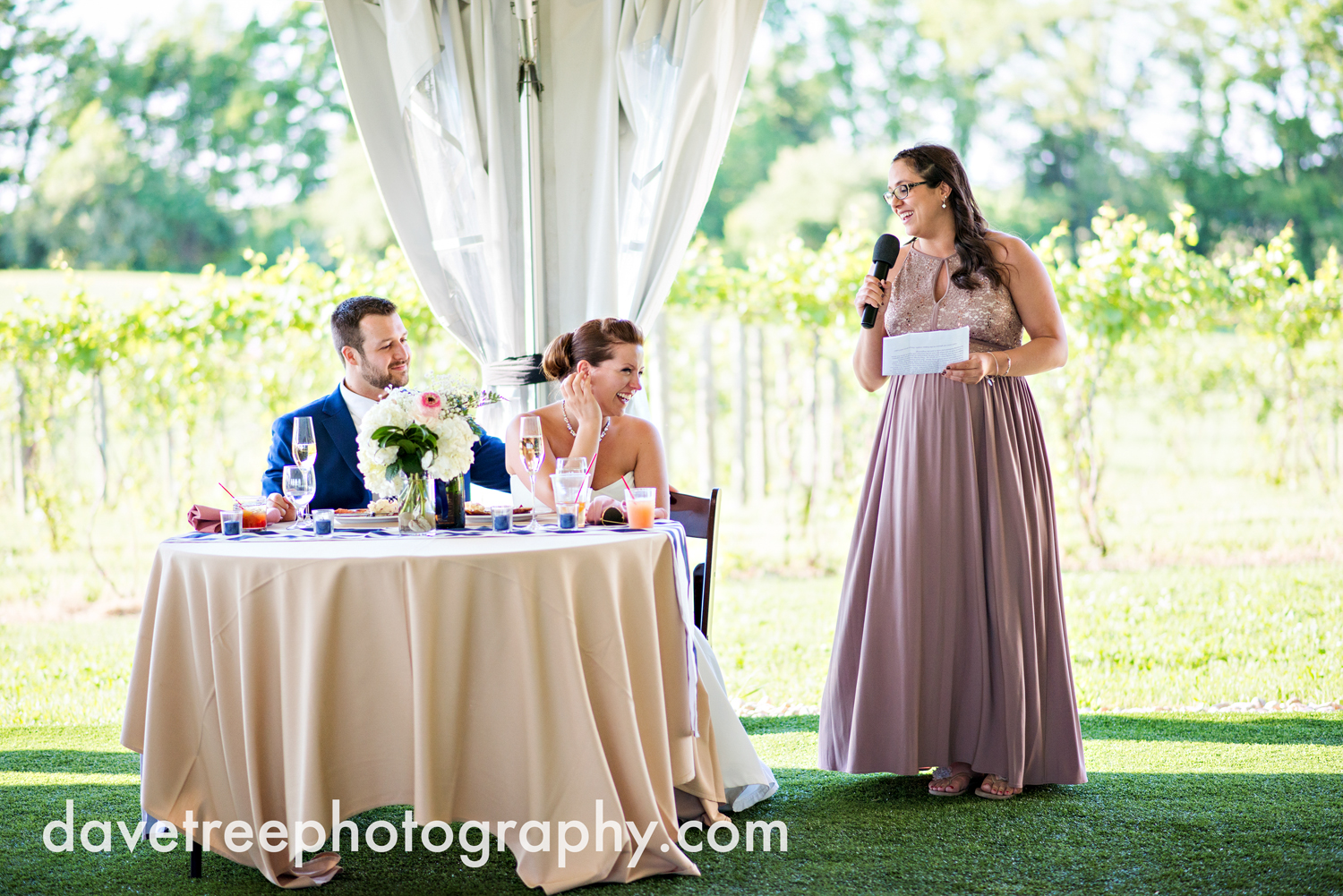 michigan_vineyard_wedding_photographer_davetree_photography_426.jpg