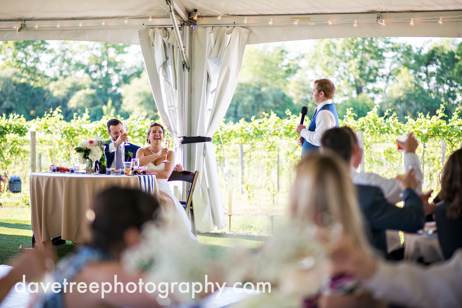 michigan_vineyard_wedding_photographer_davetree_photography_429.jpg