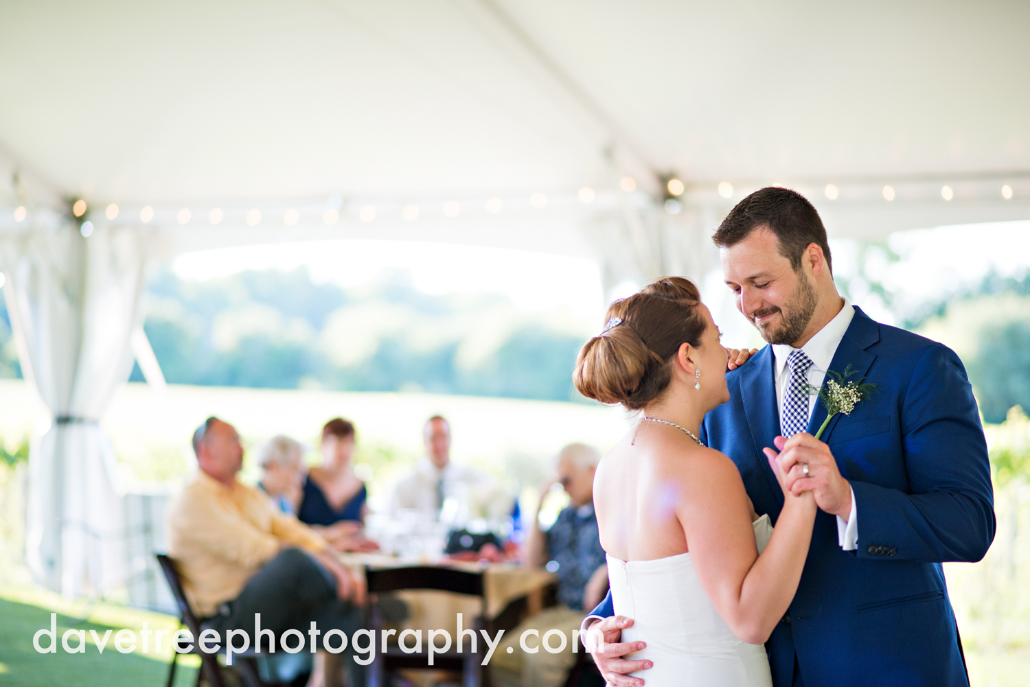 michigan_vineyard_wedding_photographer_davetree_photography_441.jpg