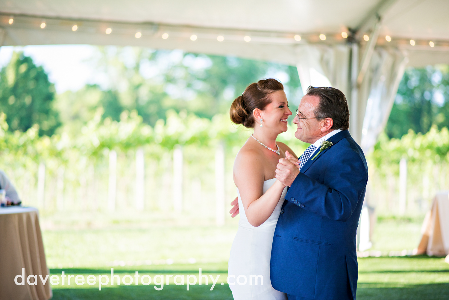 michigan_vineyard_wedding_photographer_davetree_photography_443.jpg