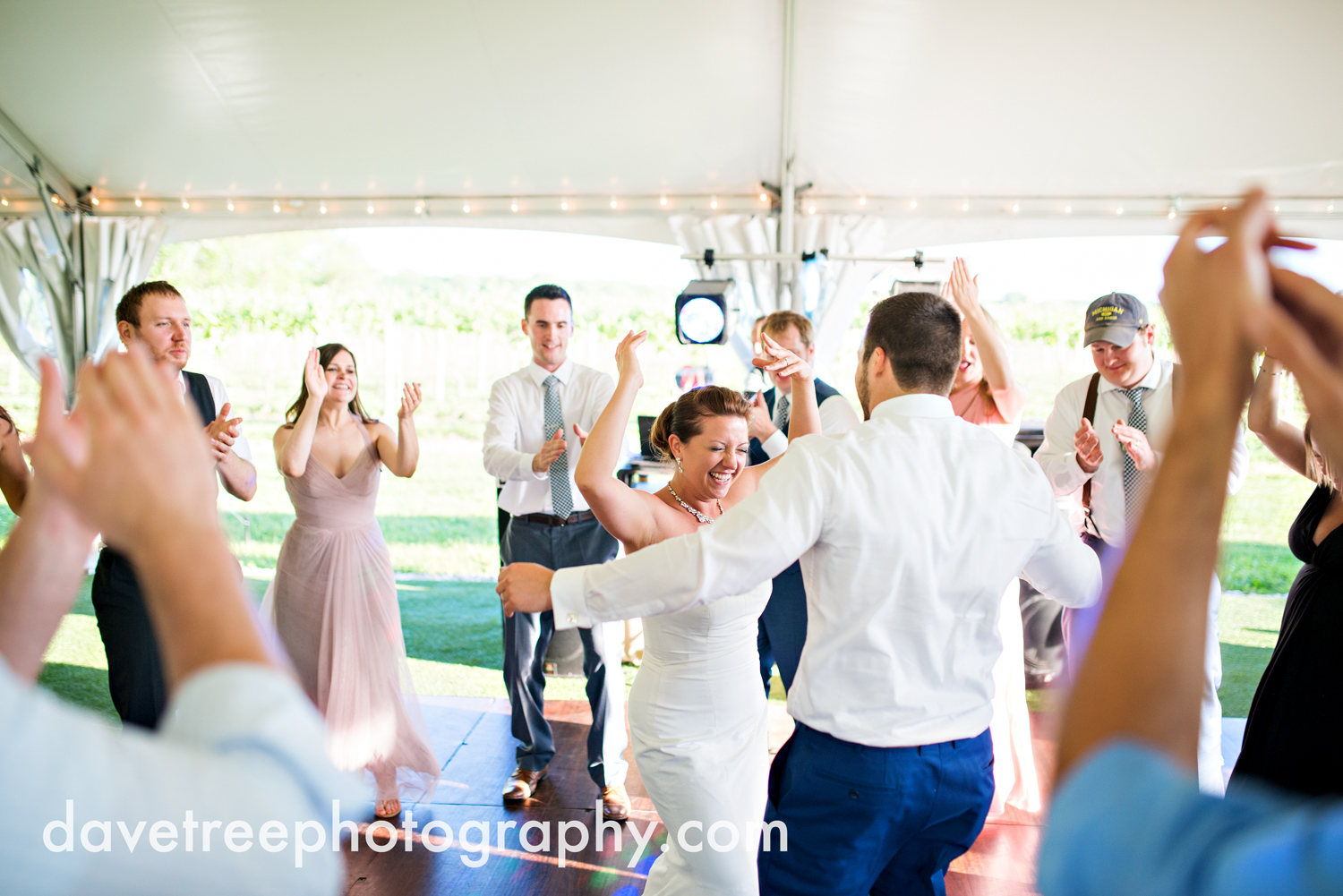 michigan_vineyard_wedding_photographer_davetree_photography_375.jpg