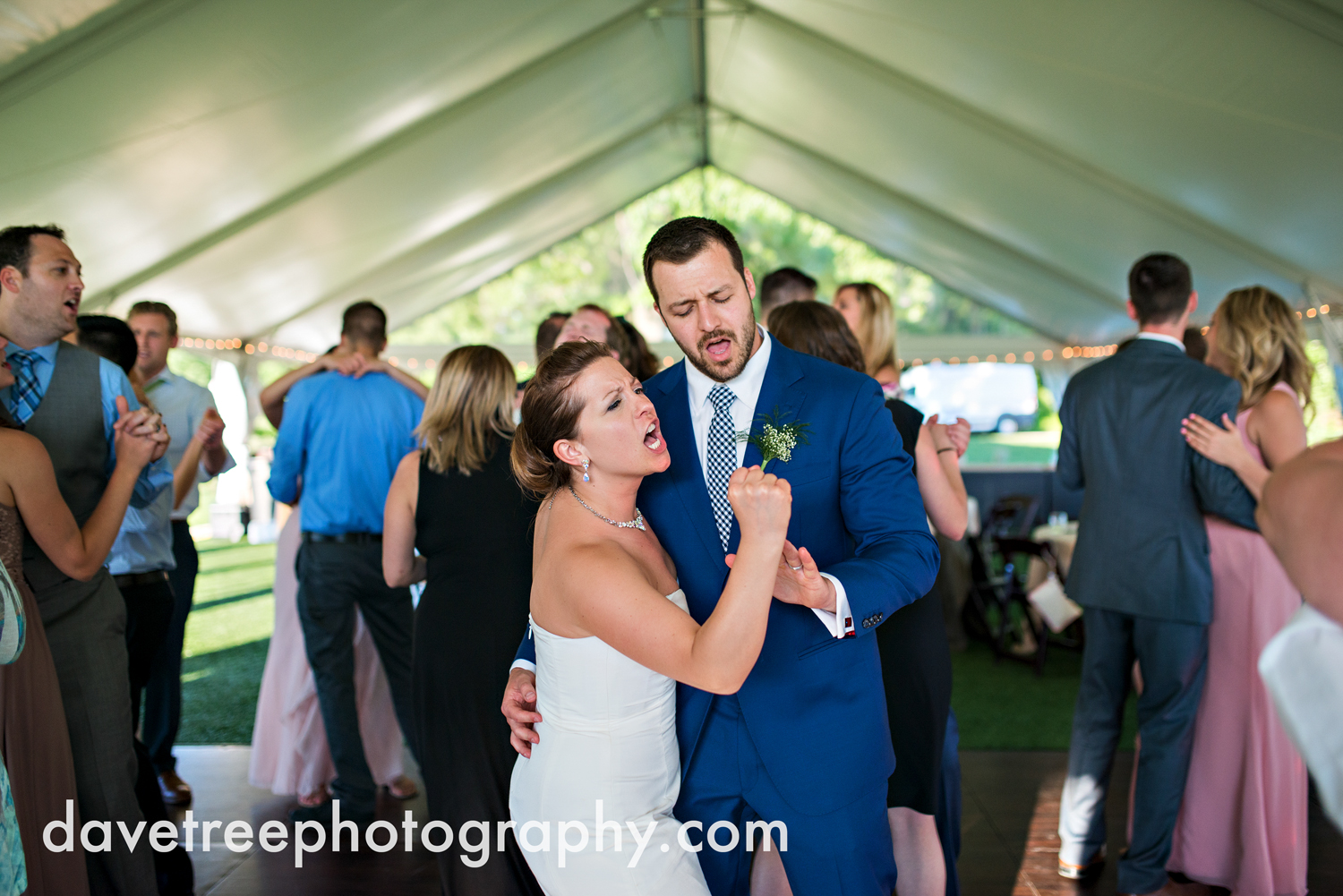 michigan_vineyard_wedding_photographer_davetree_photography_377.jpg