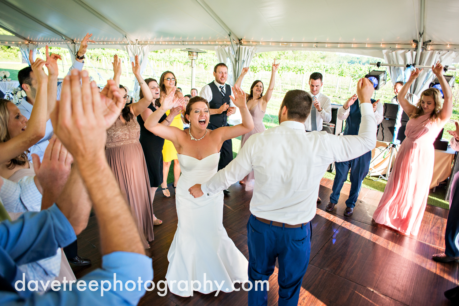 michigan_vineyard_wedding_photographer_davetree_photography_382.jpg