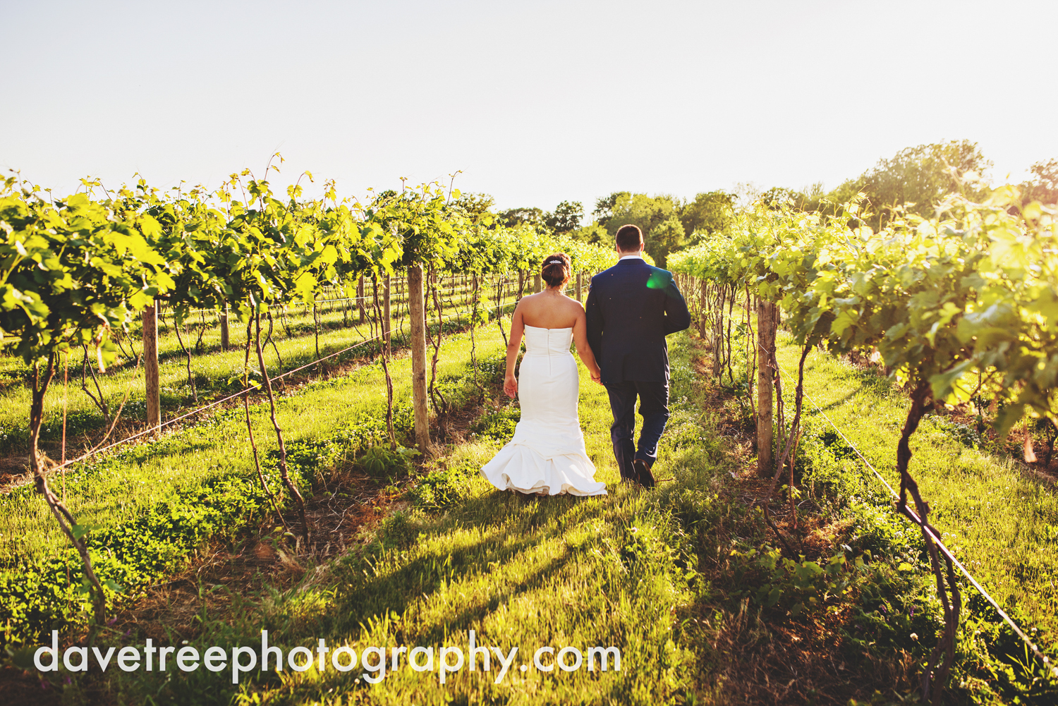 michigan_vineyard_wedding_photographer_davetree_photography_319.jpg