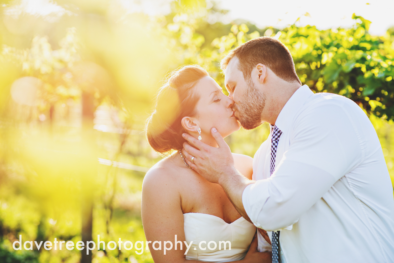 michigan_vineyard_wedding_photographer_davetree_photography_324.jpg