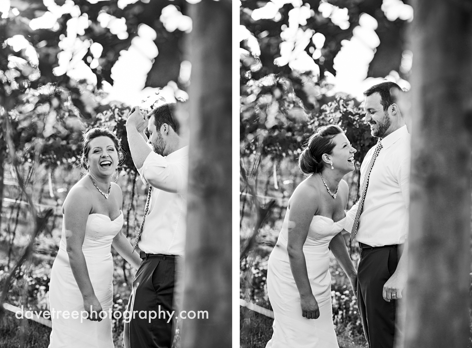 michigan_vineyard_wedding_photographer_davetree_photography_328.jpg