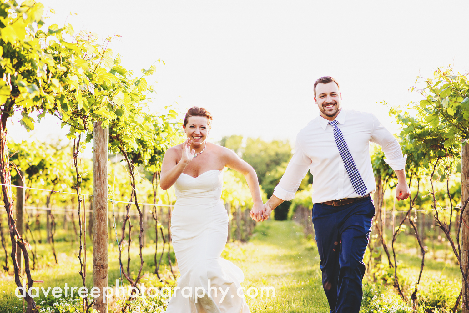 michigan_vineyard_wedding_photographer_davetree_photography_334.jpg