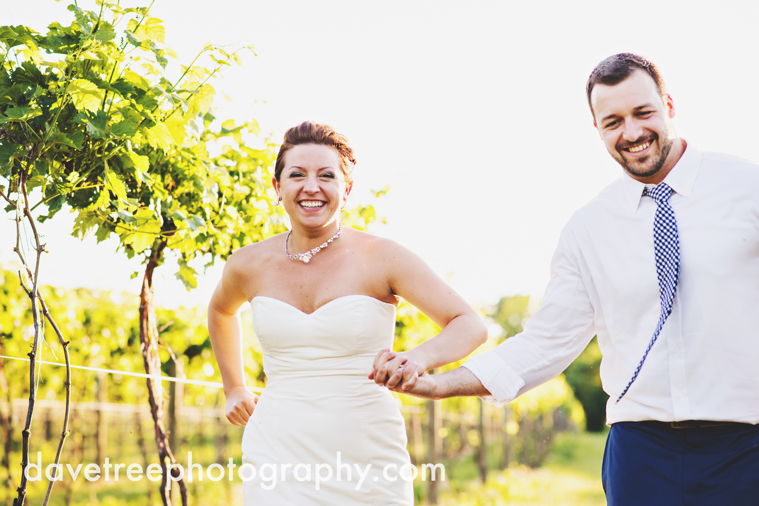 michigan_vineyard_wedding_photographer_davetree_photography_335.jpg