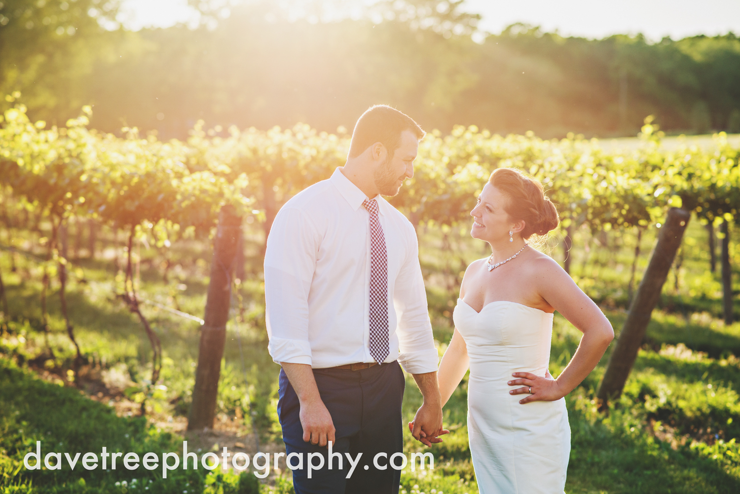 michigan_vineyard_wedding_photographer_davetree_photography_337.jpg