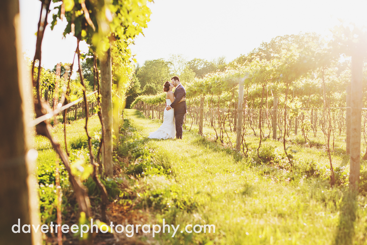 michigan_vineyard_wedding_photographer_davetree_photography_349.jpg