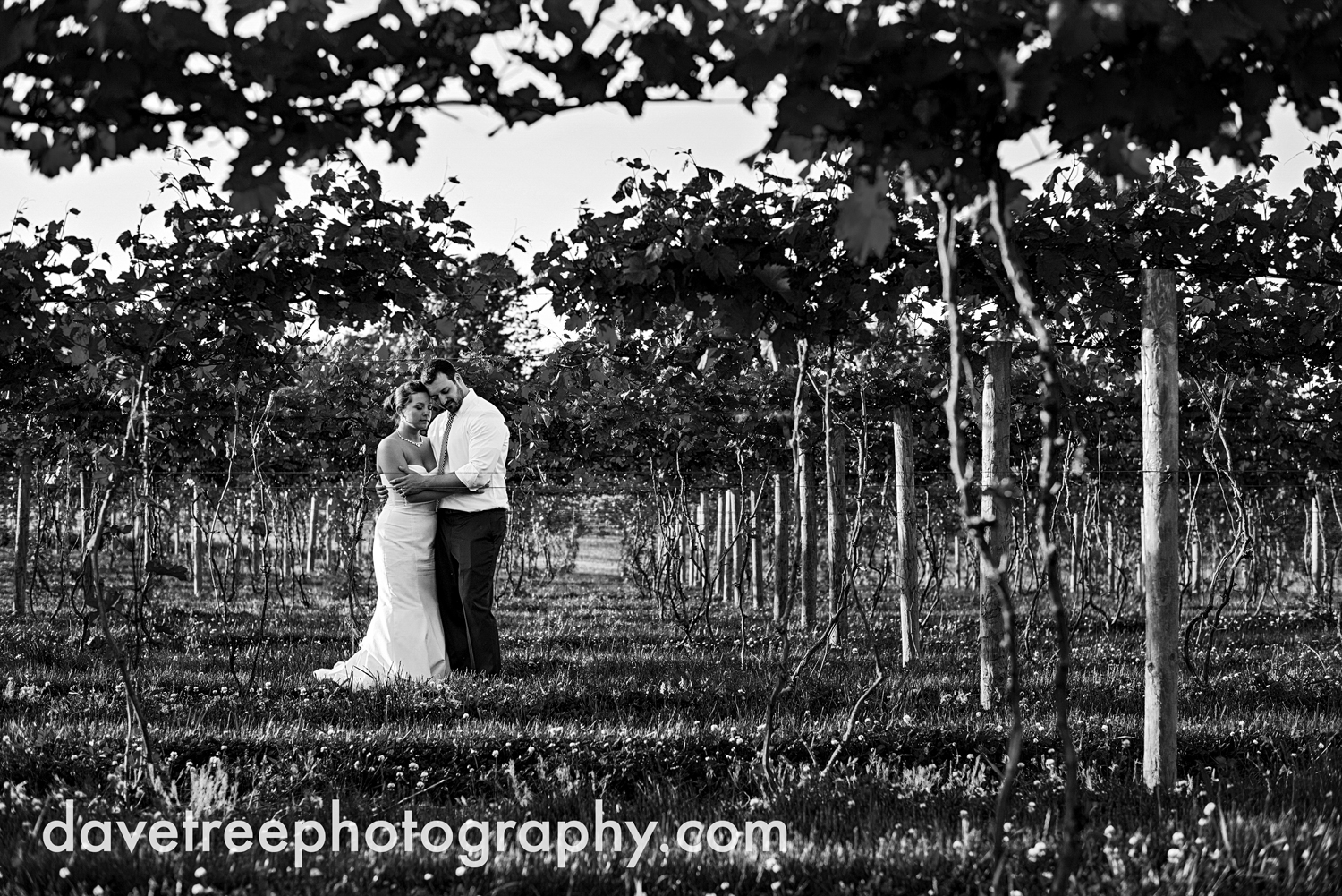 michigan_vineyard_wedding_photographer_davetree_photography_353.jpg