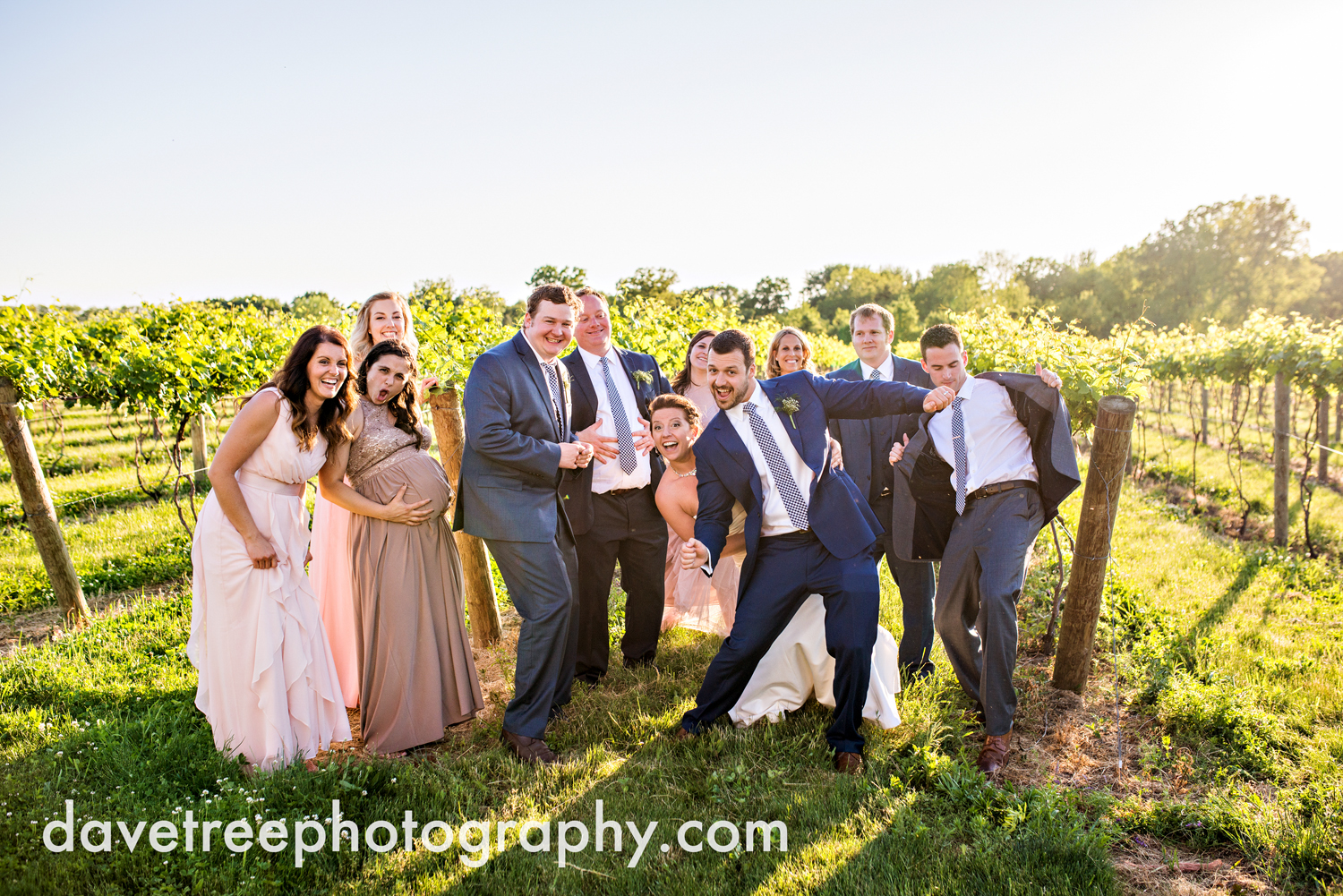 michigan_vineyard_wedding_photographer_davetree_photography_495.jpg