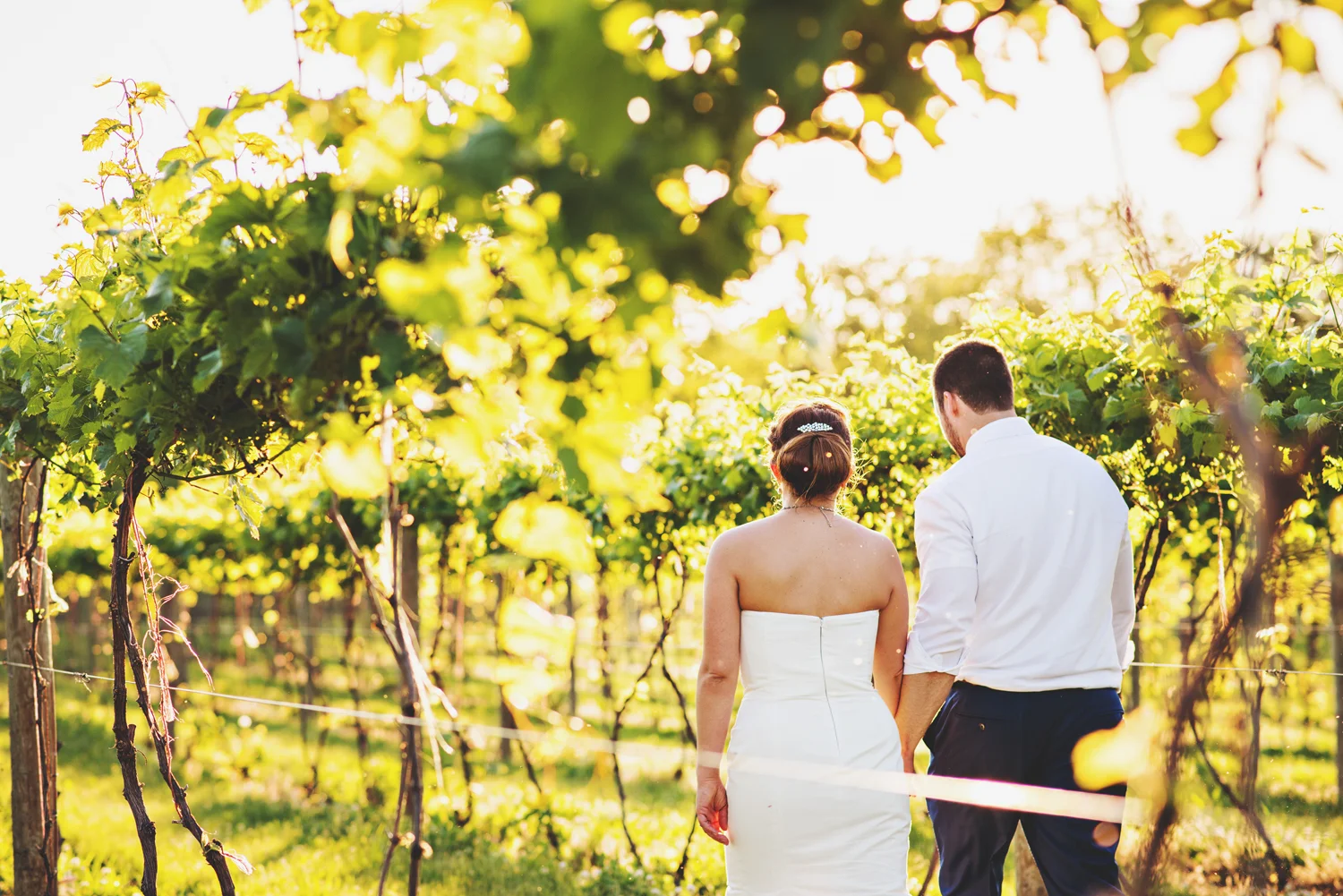 michigan_vineyard_wedding_photographer_davetree_photography_331.jpg