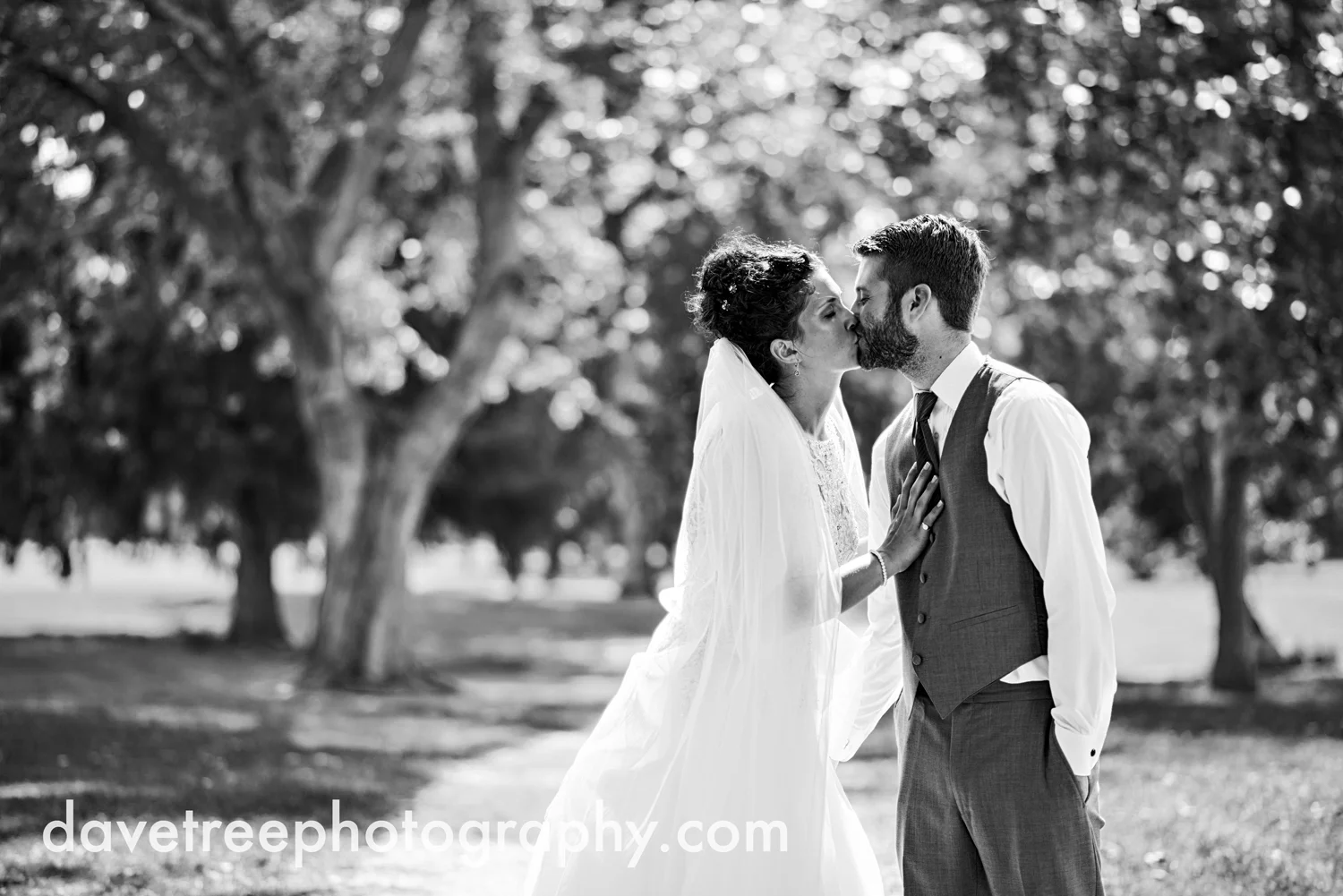 brooklyn_wedding_photographer_brooklyn_michigan_141.jpg