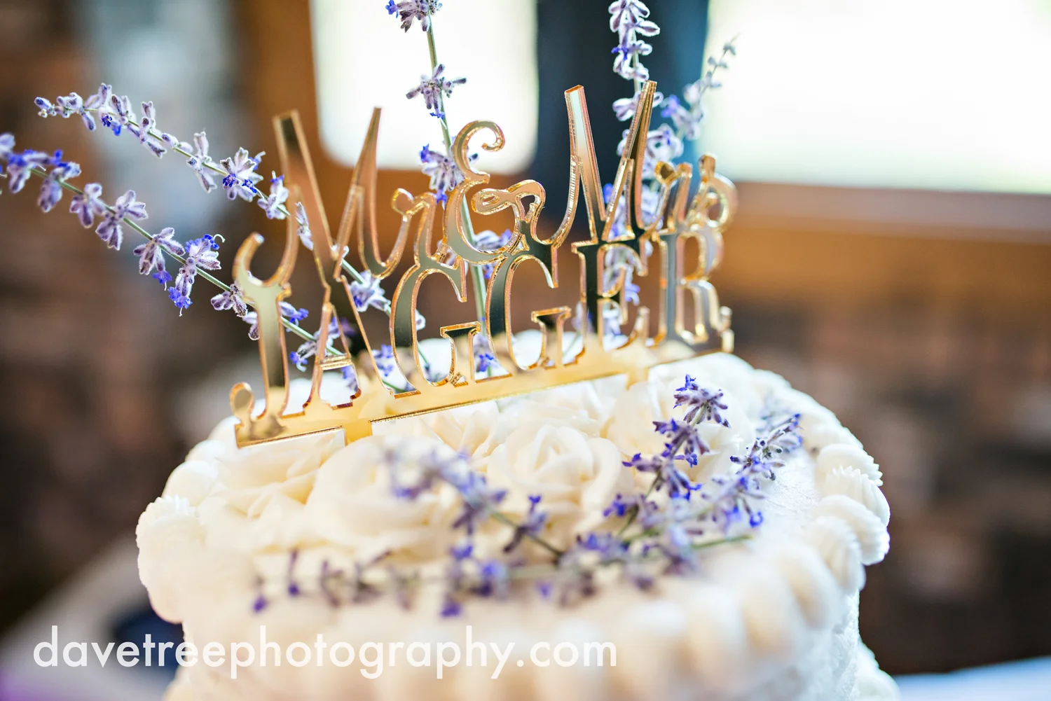 brooklyn_wedding_photographer_brooklyn_michigan_154.jpg